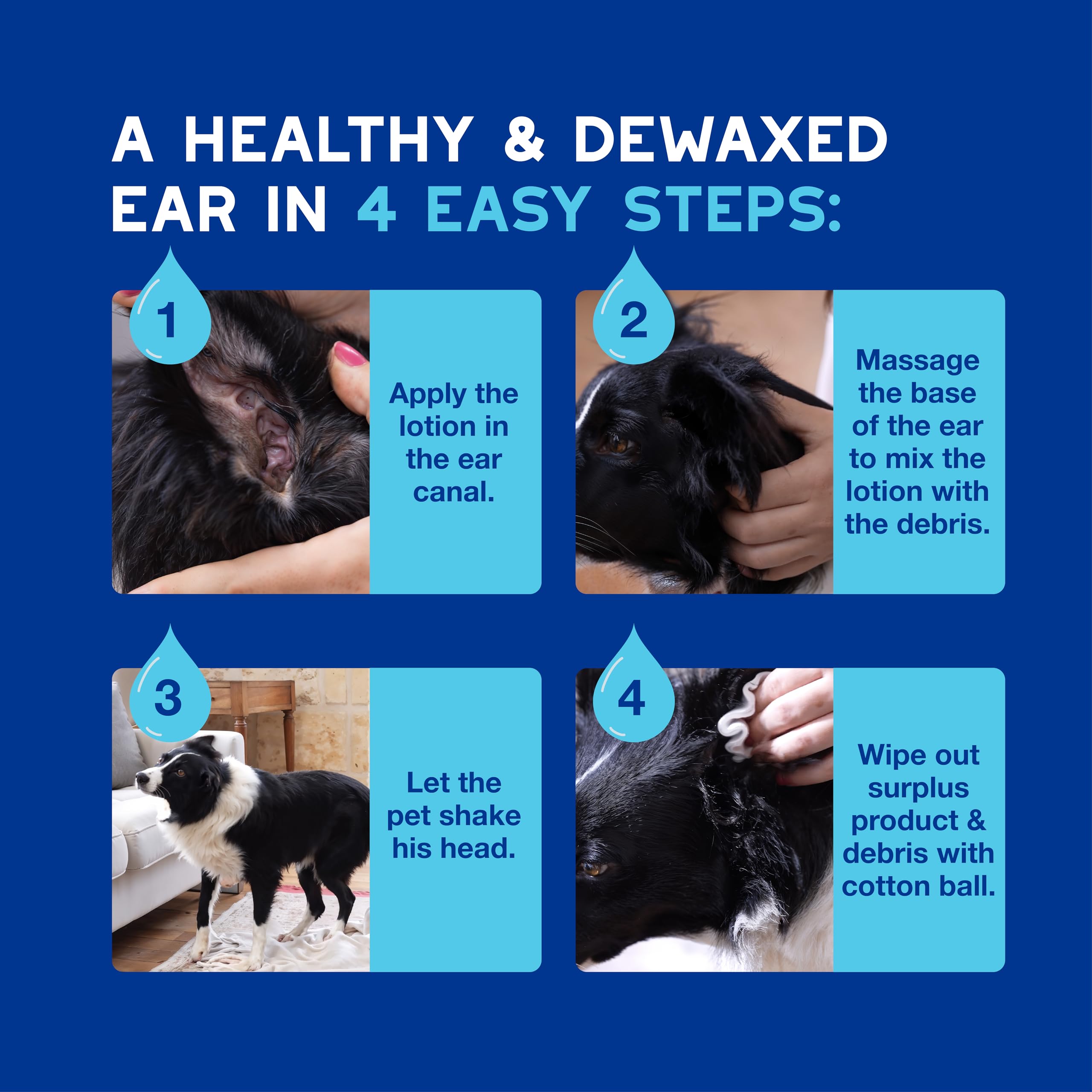 Douxo Skin & Coat SPA Ear Cleaner for Dogs and Cats - Micellar Wax Removal | 120 ml 6