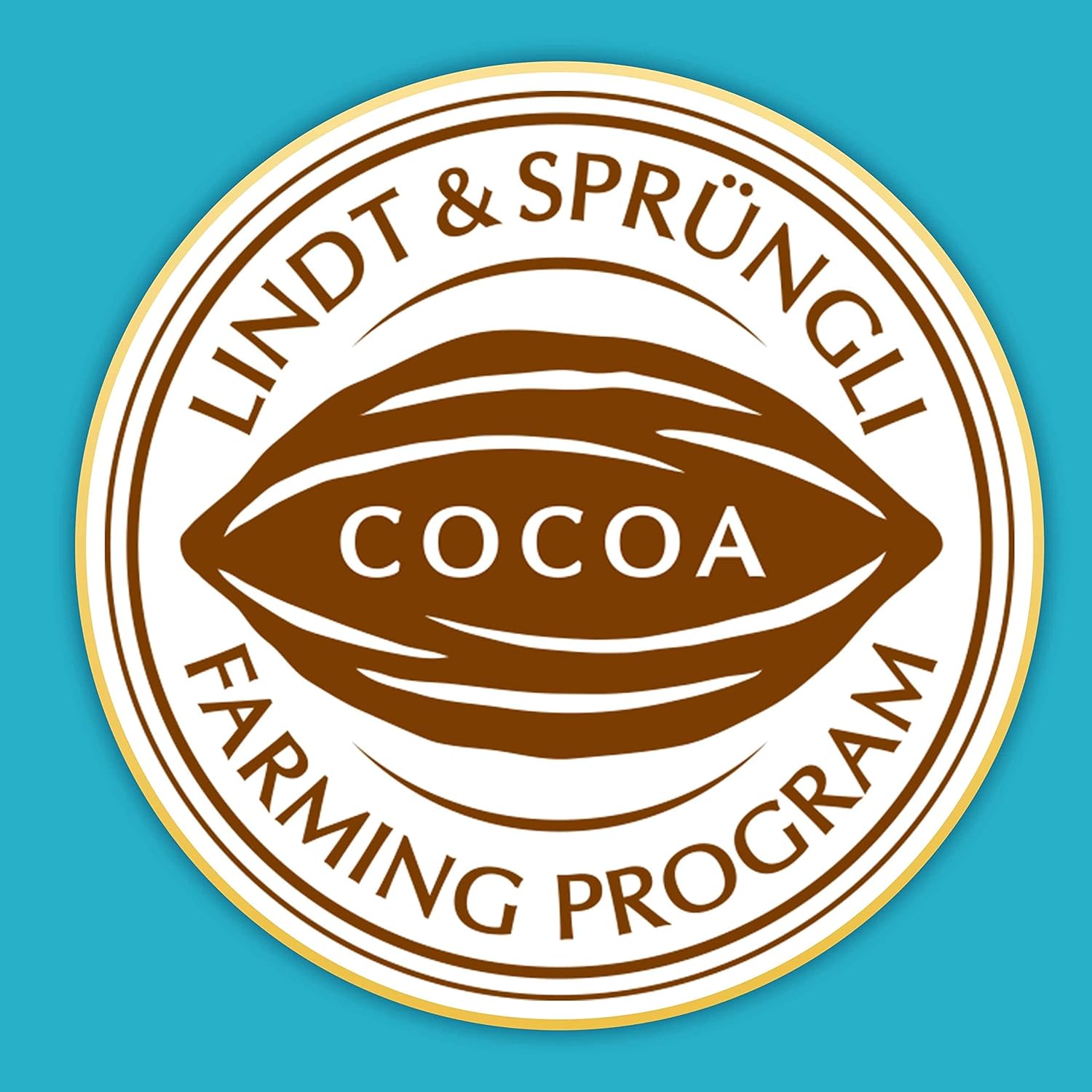 Lindt Lindor Salted Caramel Milchschokoladentrüffel – 200 g Geschenkbox (ca. 16 Trüffel) 6