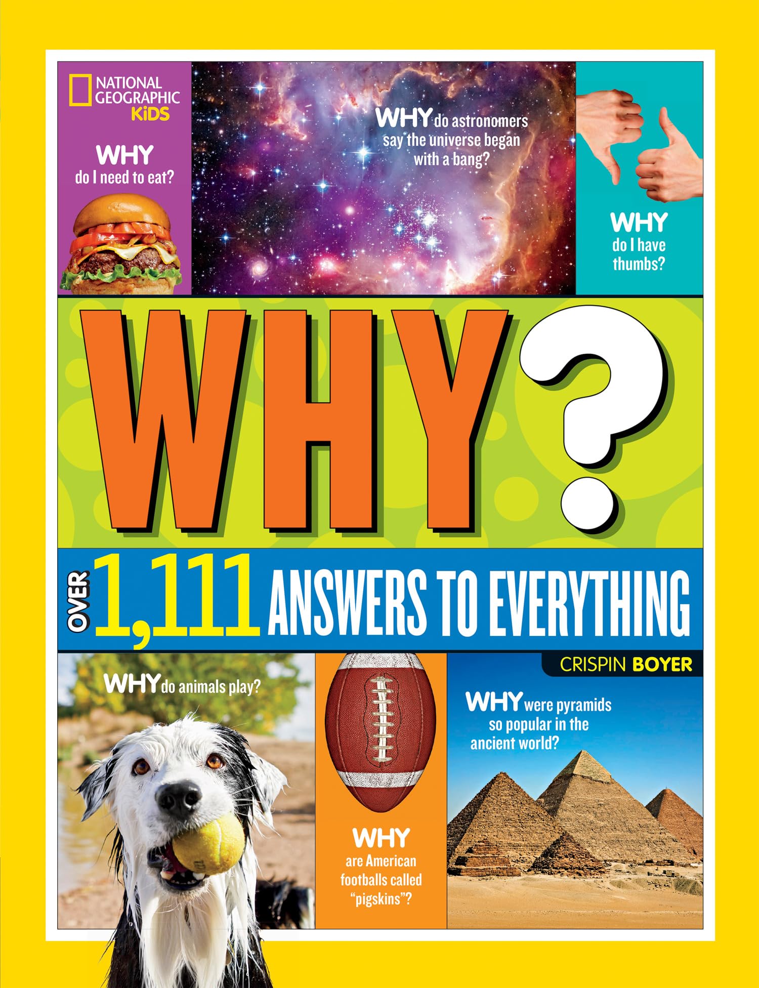 Collins Why? Over 1,111 Answers to Everything Reference Book | Hardcover | Ages 7-10