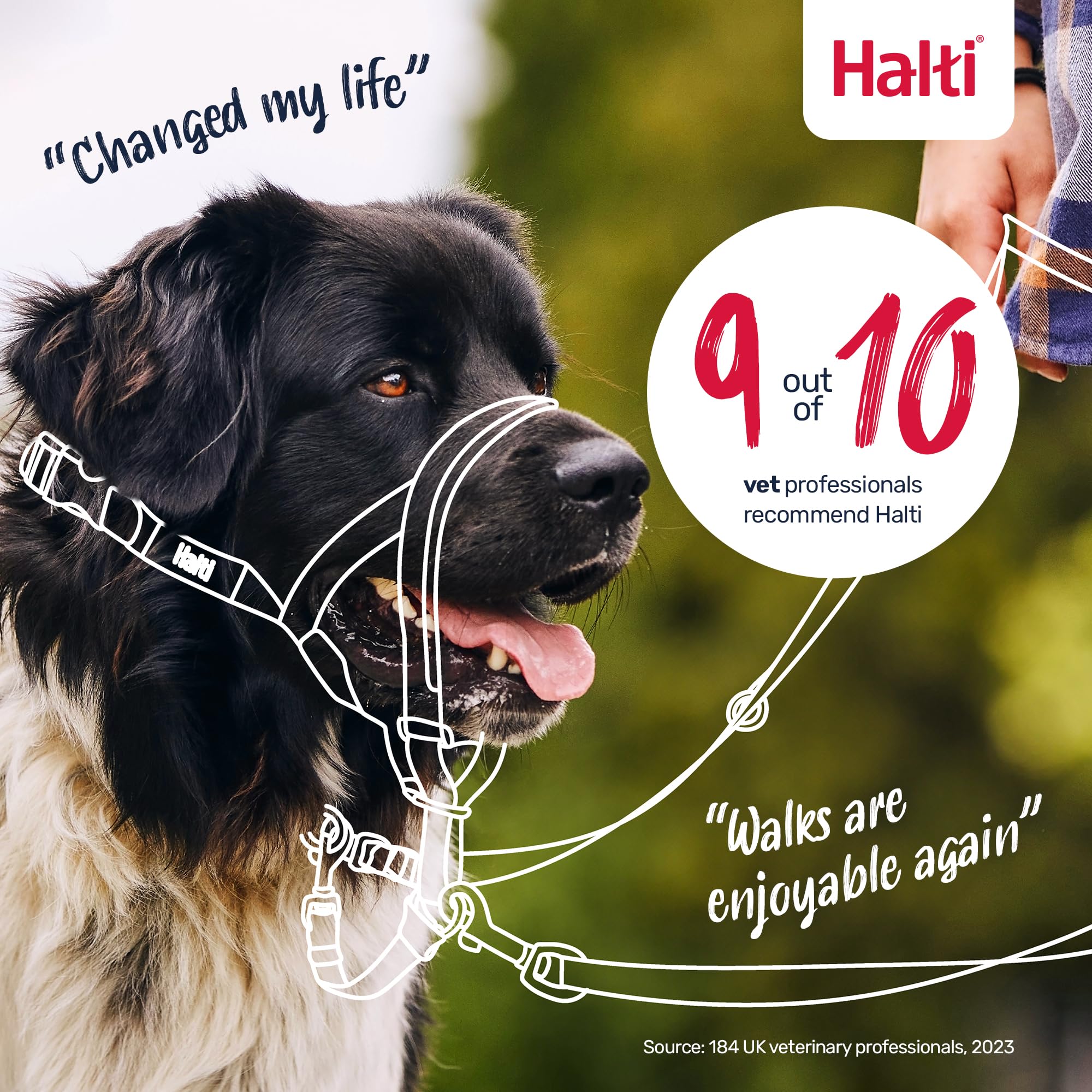 Halti Headcollar for Dogs - Stops Pulling | Size 3, Purple 6