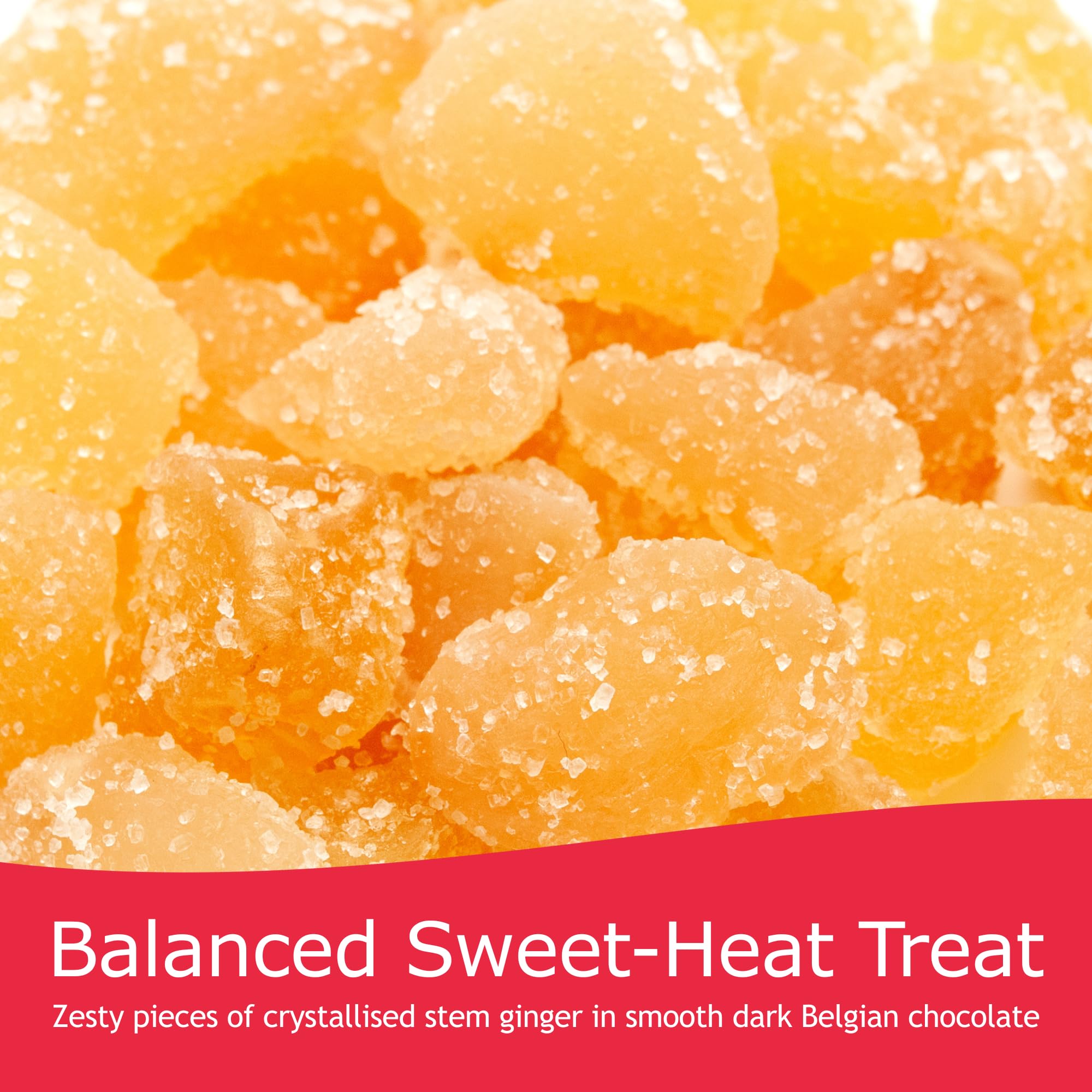 Rita Farhi - Dark Chocolate Covered Ginger Luxury Gift Jar 350g 7