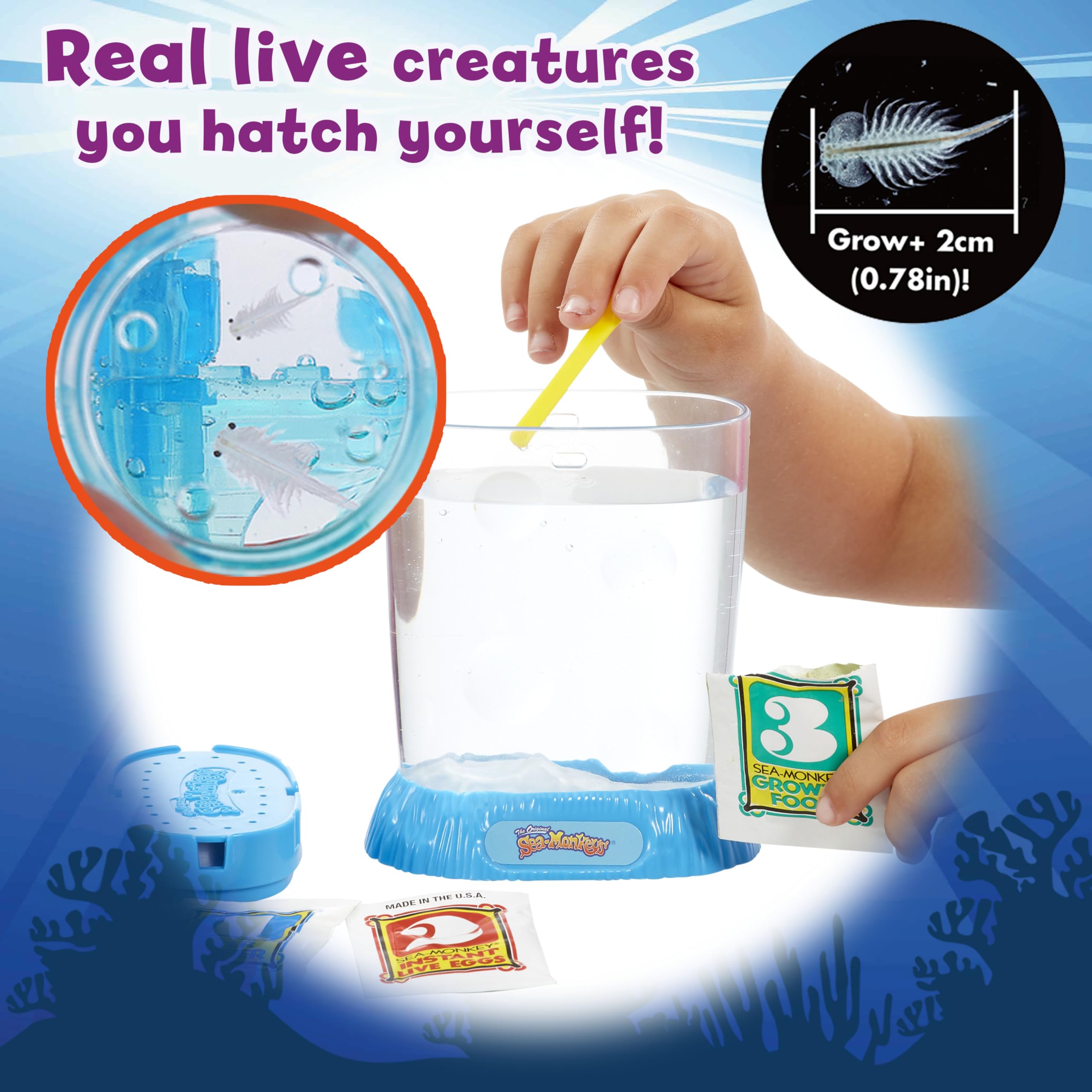 Sea Monkeys Ocean Zoo – Pädagogisches Wissenschaftsset für Kinder von 5 bis 10 Jahren 26