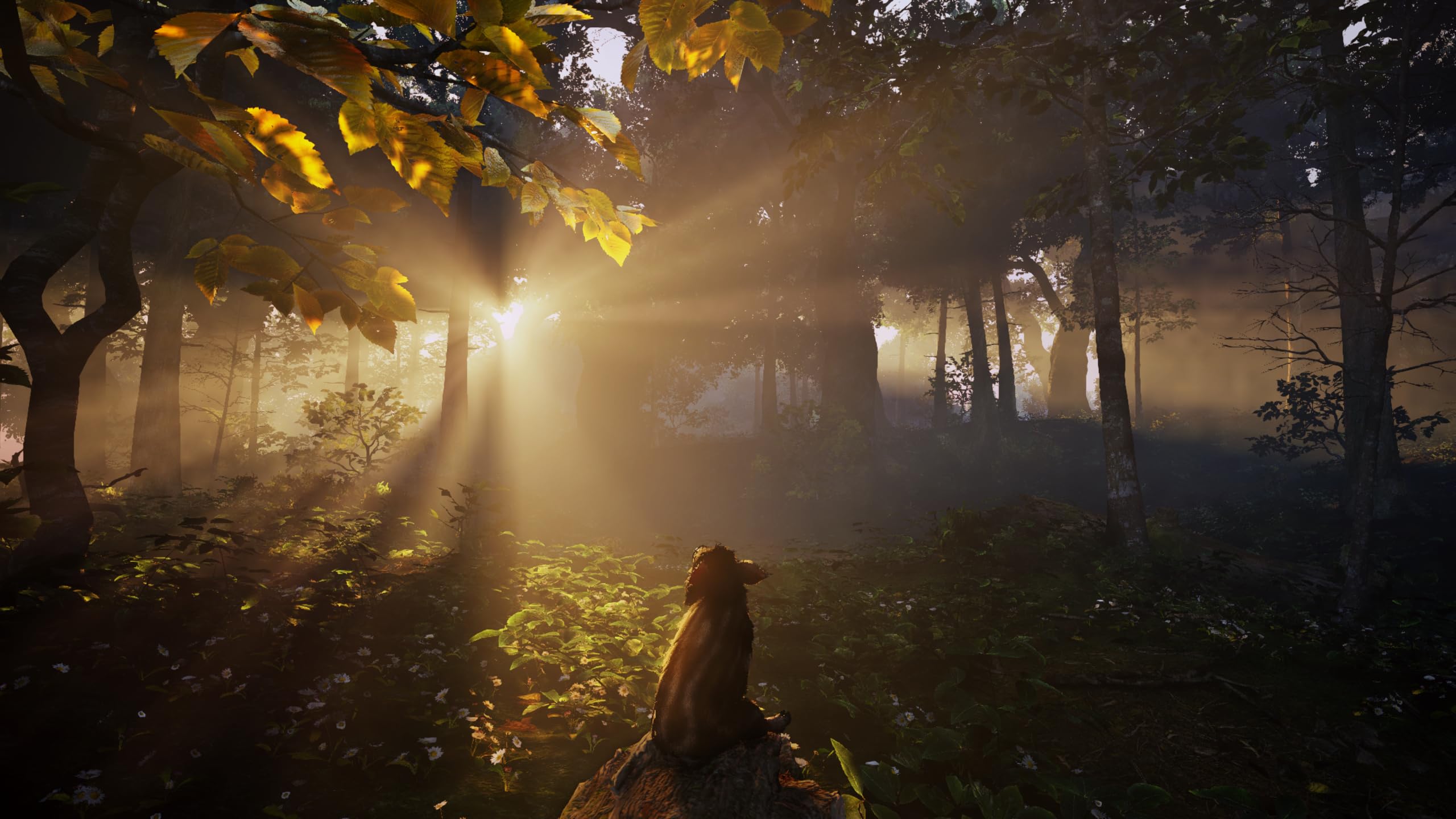 Adorable Adventures [PS5]