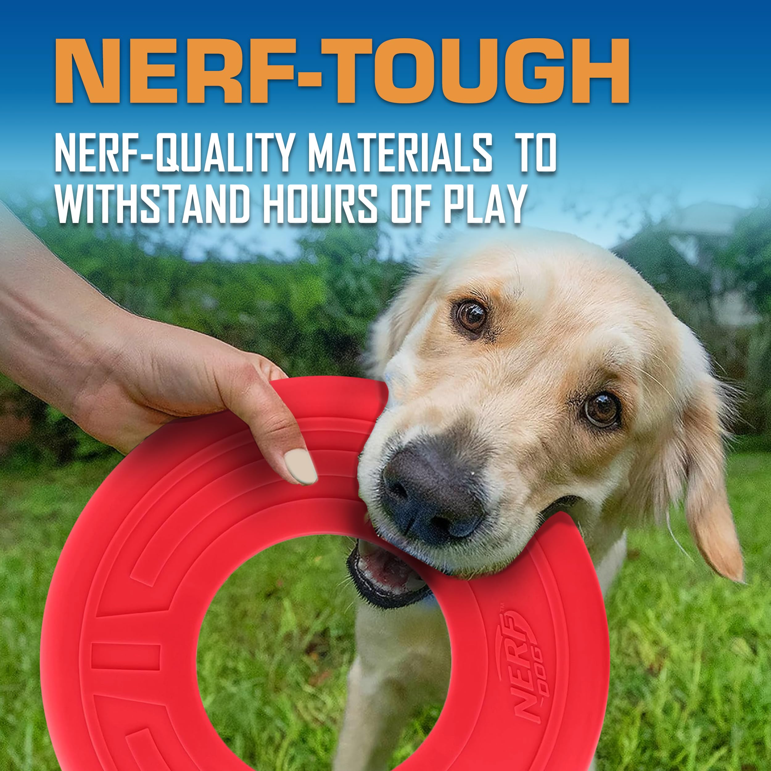 Nerf Dog Atomic Flyer Dog Toy - 10 Inch Flying Disc | Water Resistant | Lightweight 4