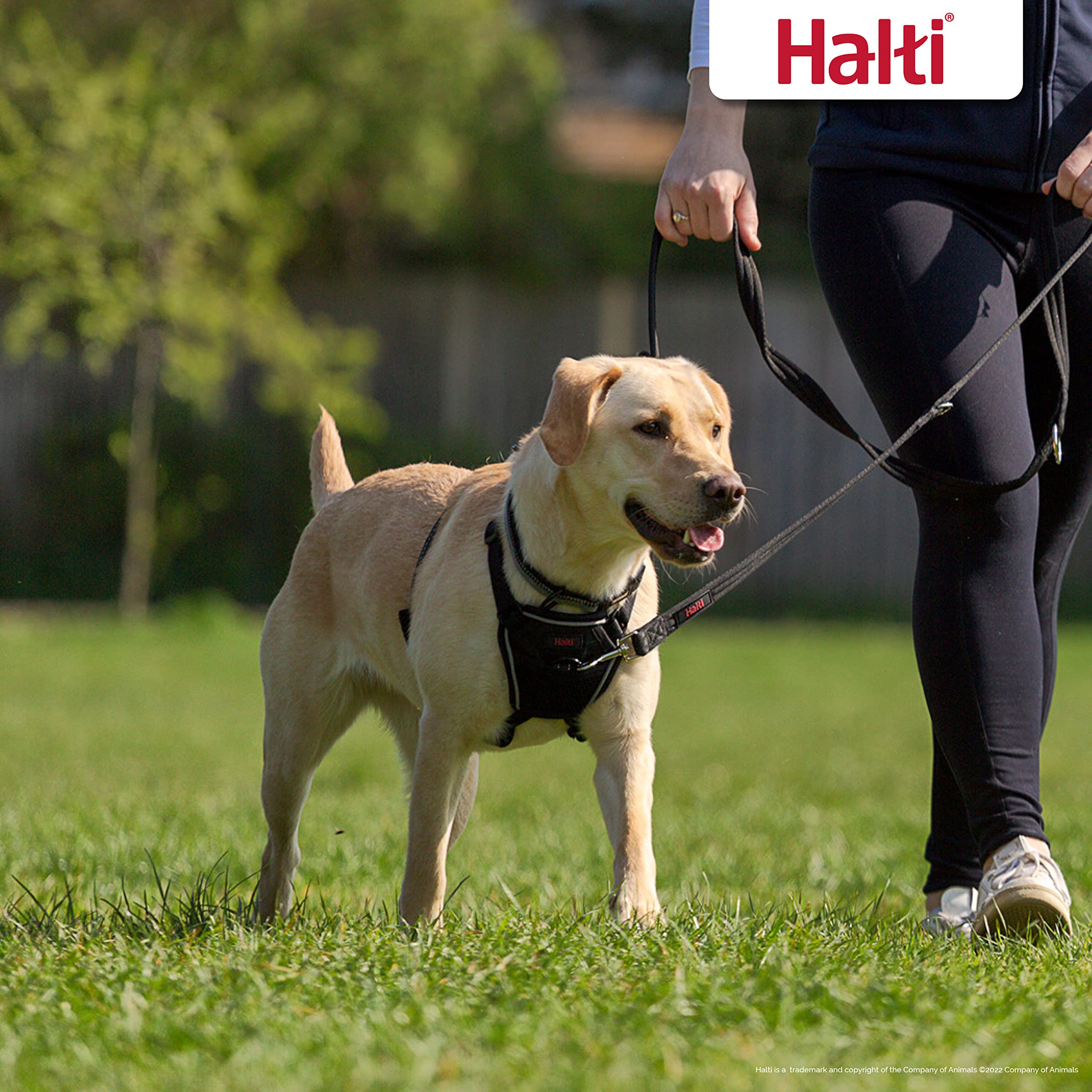 Halti No Pull Harness & Training Leash Set - Stops Pulling, Front Control Steering | Size Large, Black 6