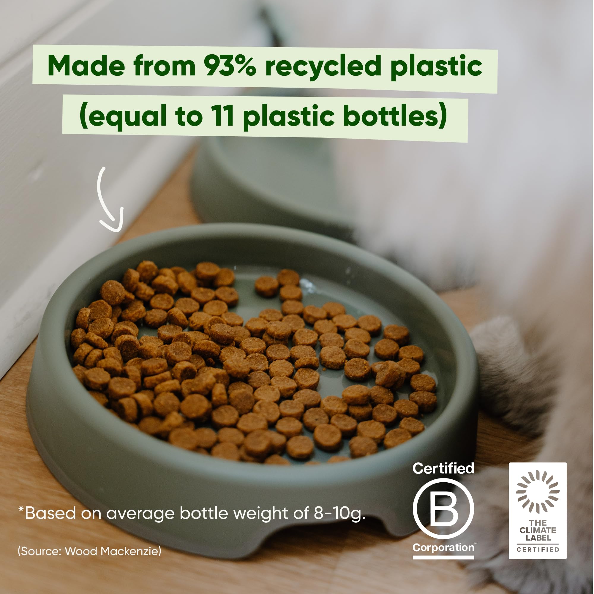 Beco Cat Bowl - Whisker-Friendly Steady Design | Recycled Plastic | Nonslip Base 6