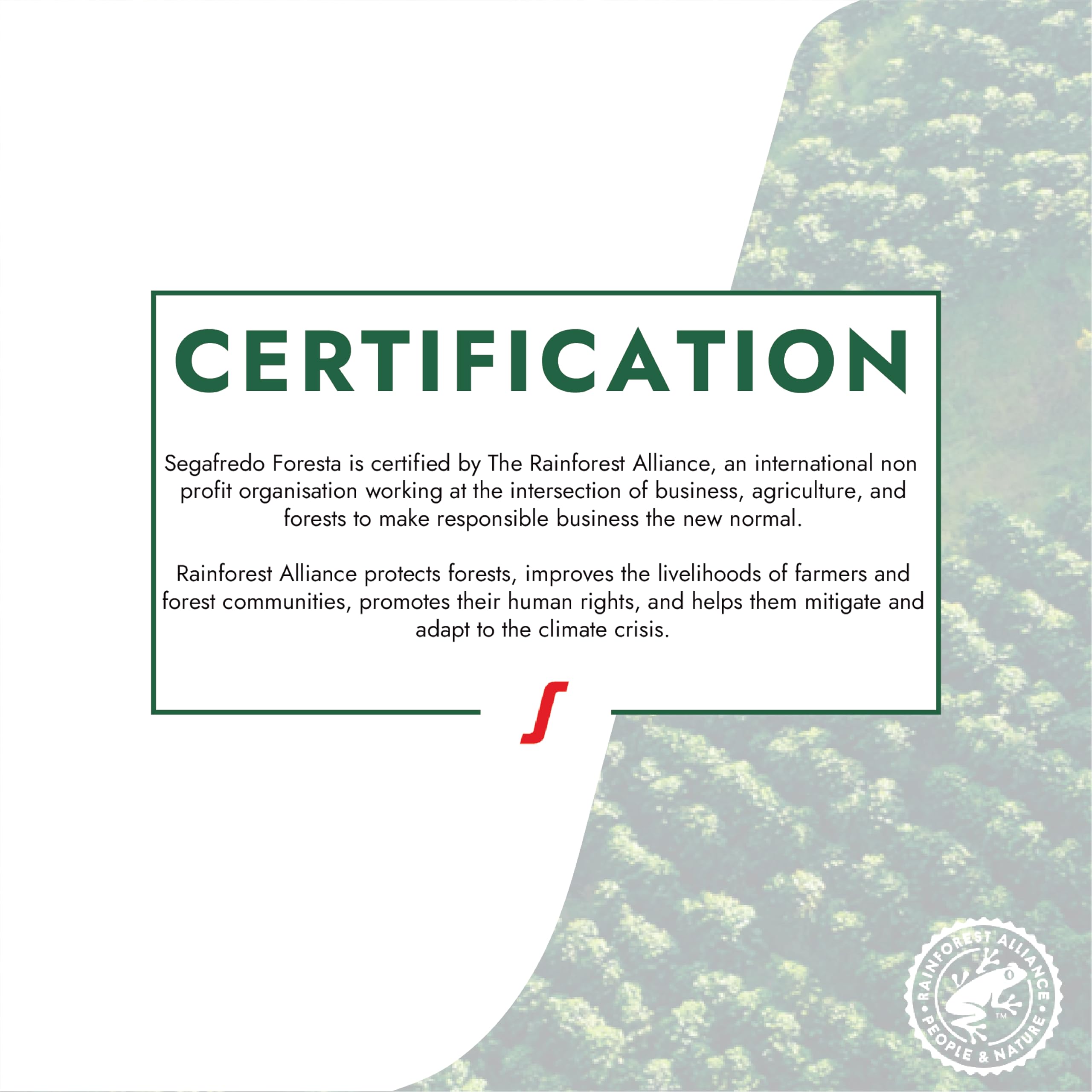 Segafredo Zanetti FORESTA Rainforest Alliance-zertifizierte Kaffeebohnen – 1 kg ganze Bohne 5