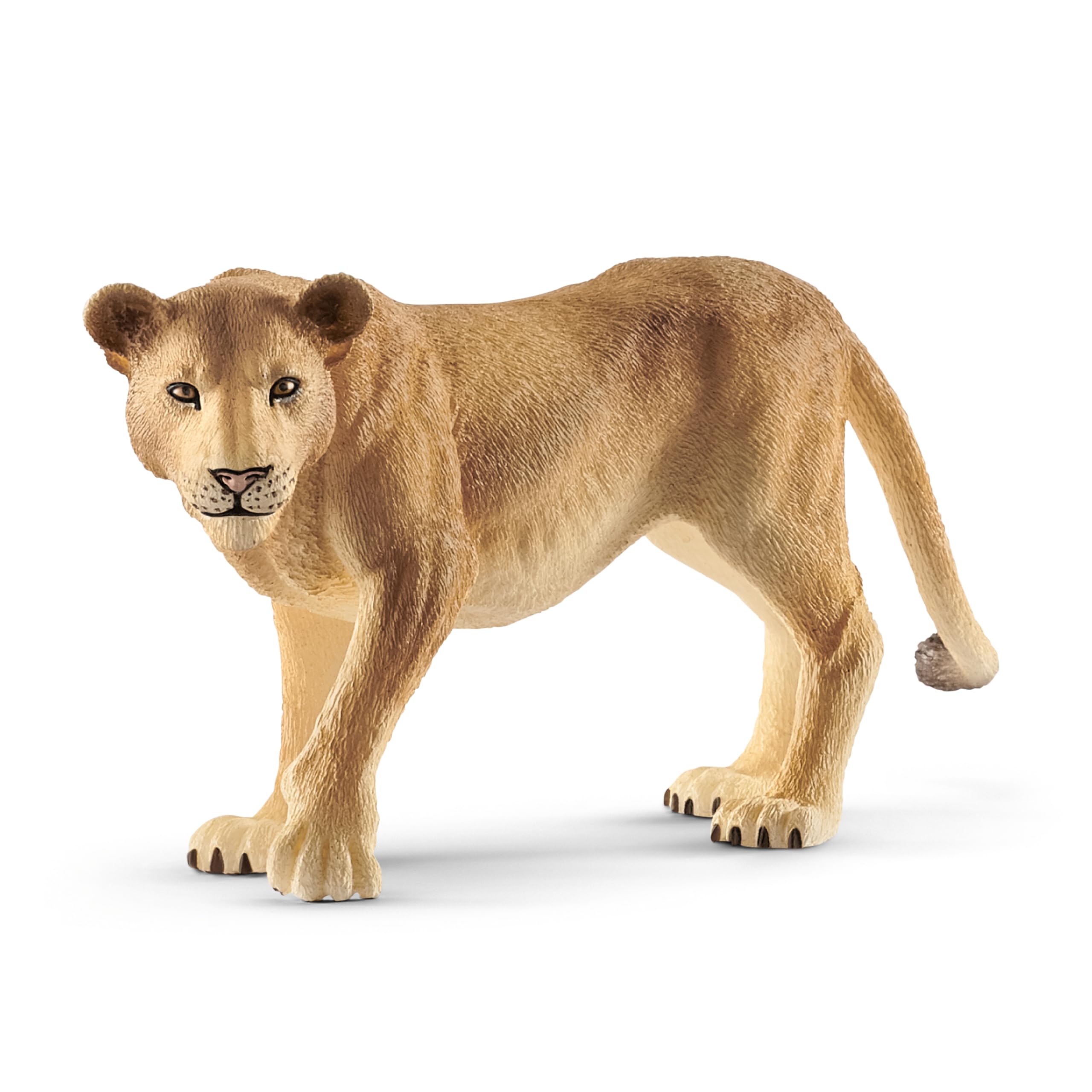 SCHLEICH Lioness Wildlife Figurine - Detailed Hand-Painted Animal Model for Kids 3-8 Years 5