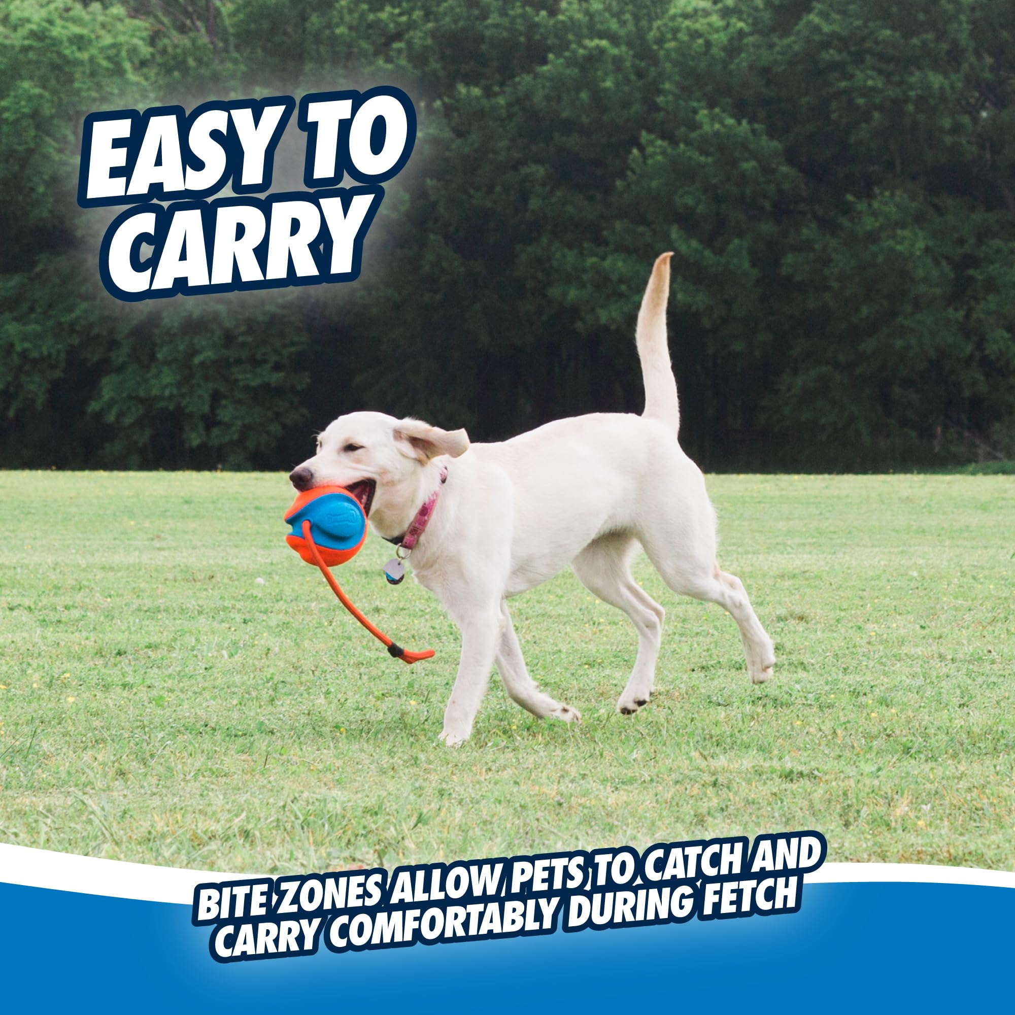 Chuckit! Rope Fetch Dog Toy - 3-in-1 Play: Kick, Tug, Throw | Durable Polyester 5