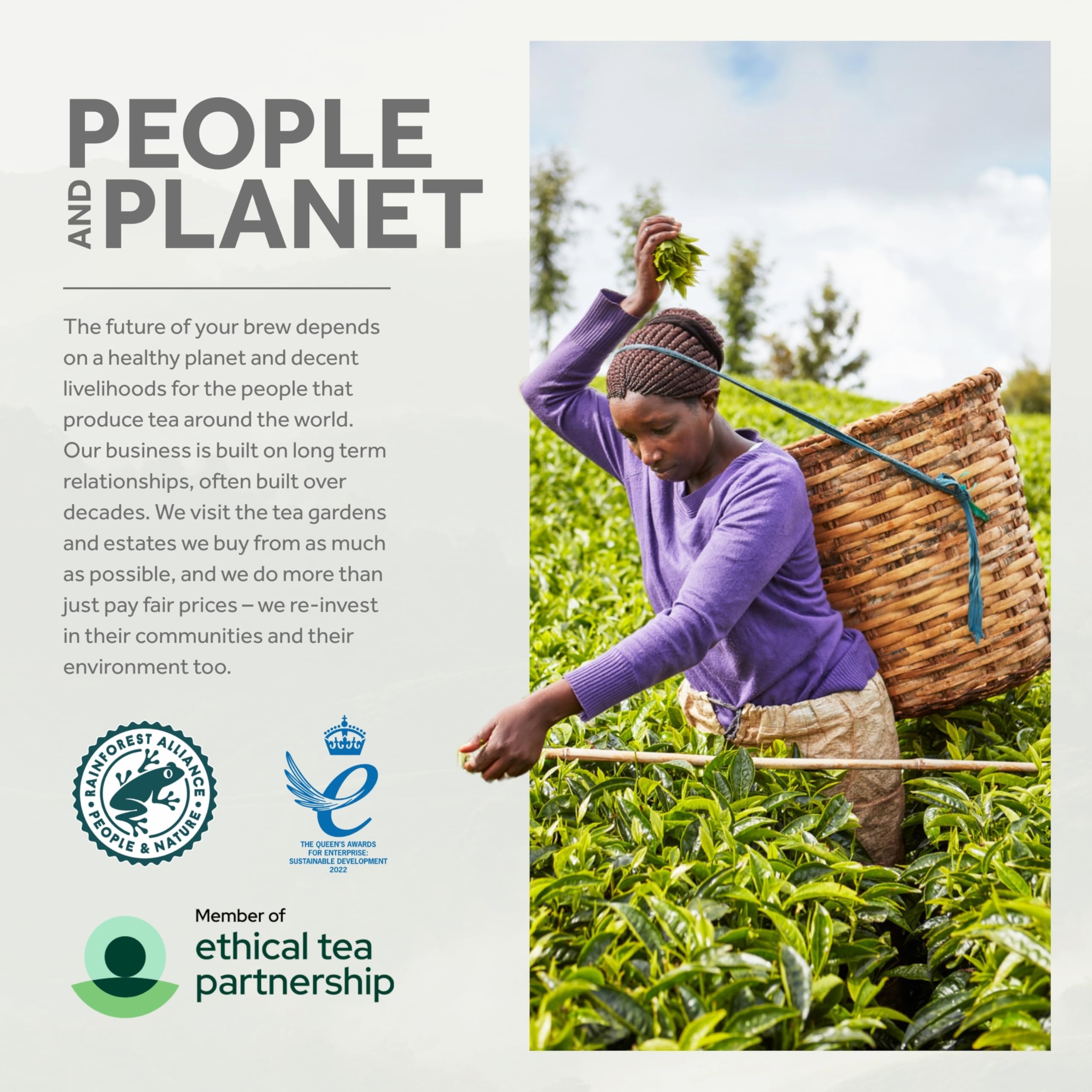 Yorkshire Tea - Caramelised Biscuit Brew Flavoured Tea Bags, 4 Boxes of 40 5