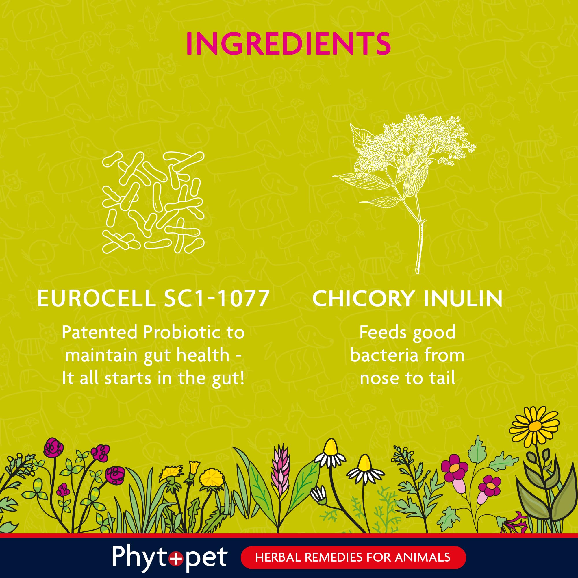 Phytopet Probiotic Concentrate - All Natural Gut Health Powder for Dogs & Cats | 100g 4
