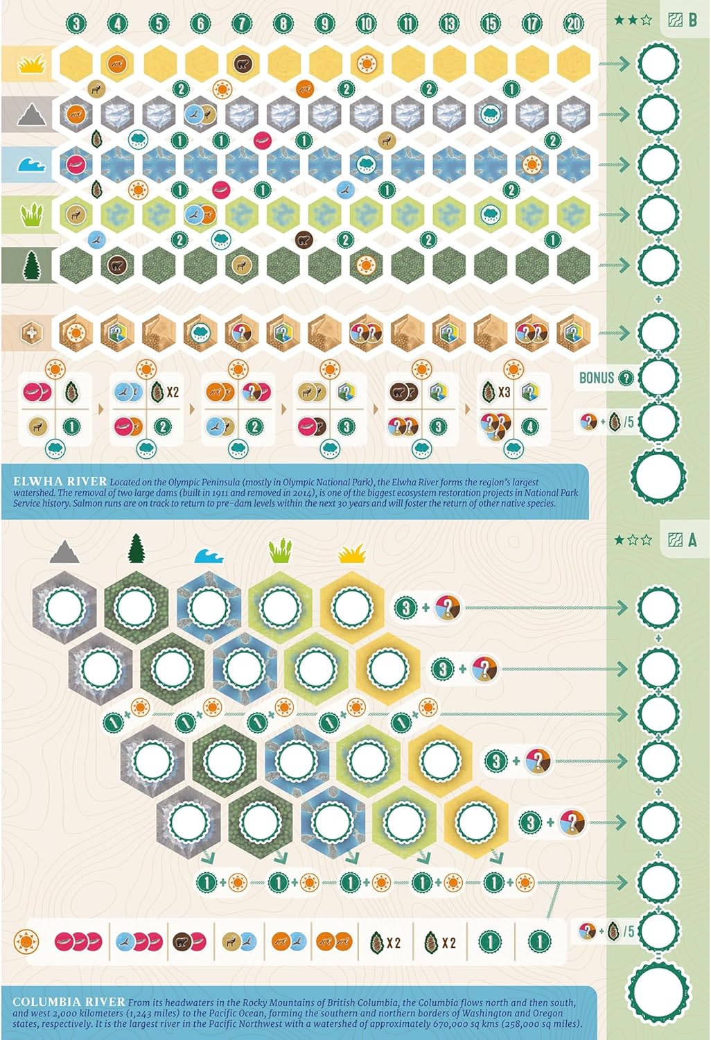 AEG Cascadia: Rolling Rivers Roll & Write Dice Game 9