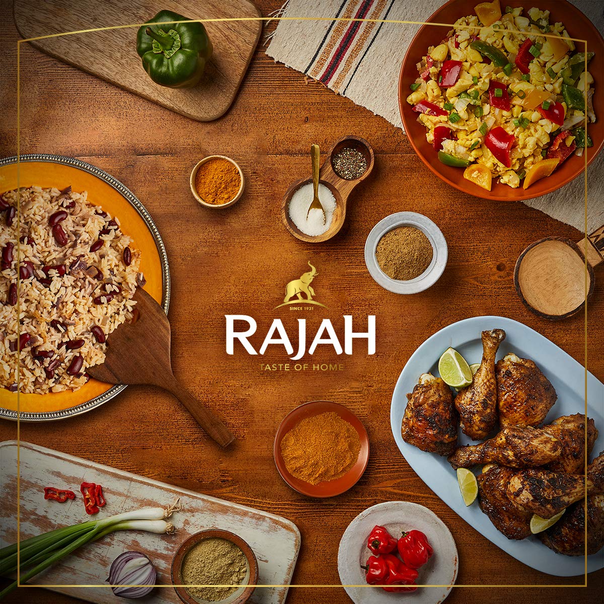 Rajah - Chicken Seasoning Powder | 1kg Resealable Bag 6