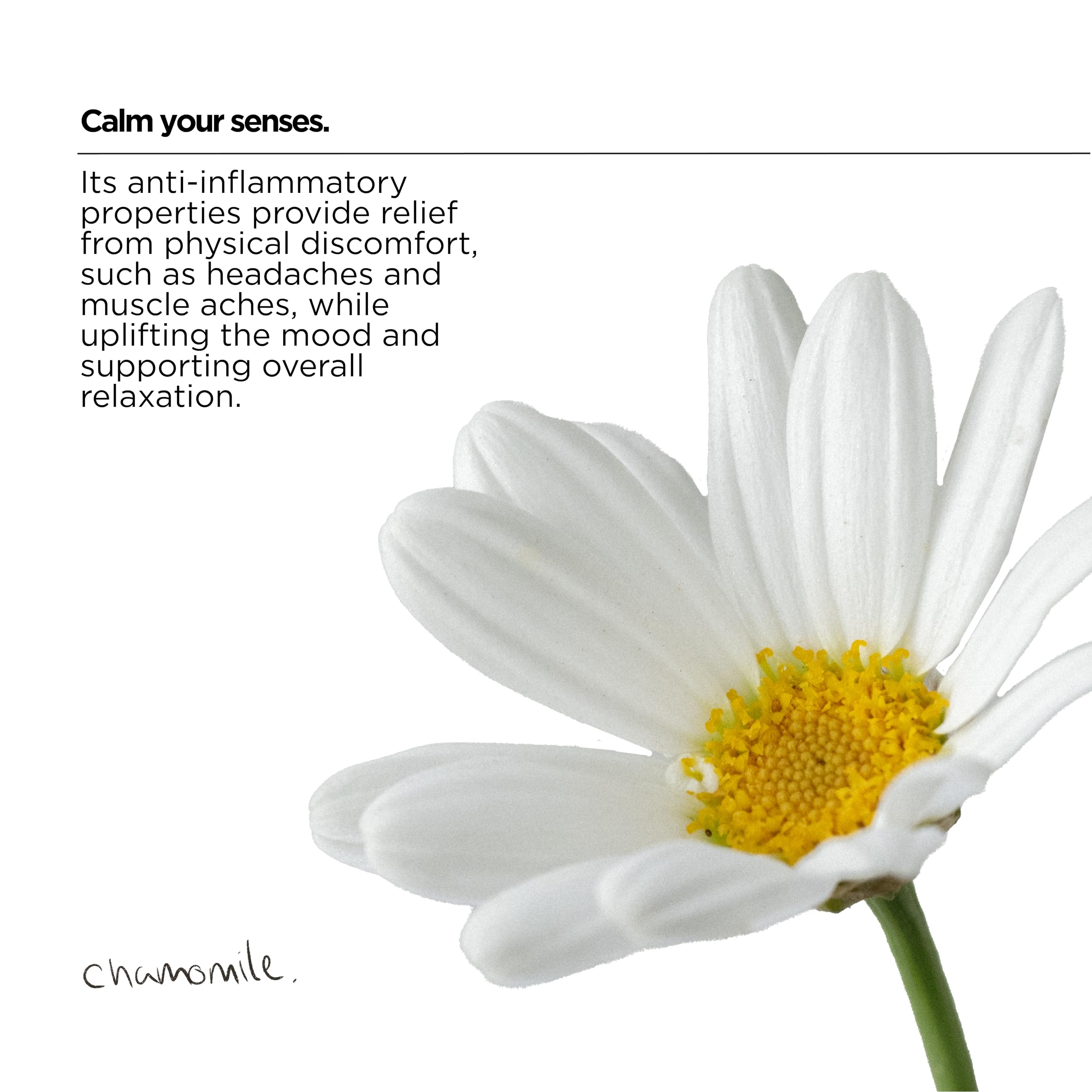 The Lab Co. Soothing Fabric Conditioner & Laundry Softener - Non-Bio, Ultra Concentrated, Plant & Mineral Based 15