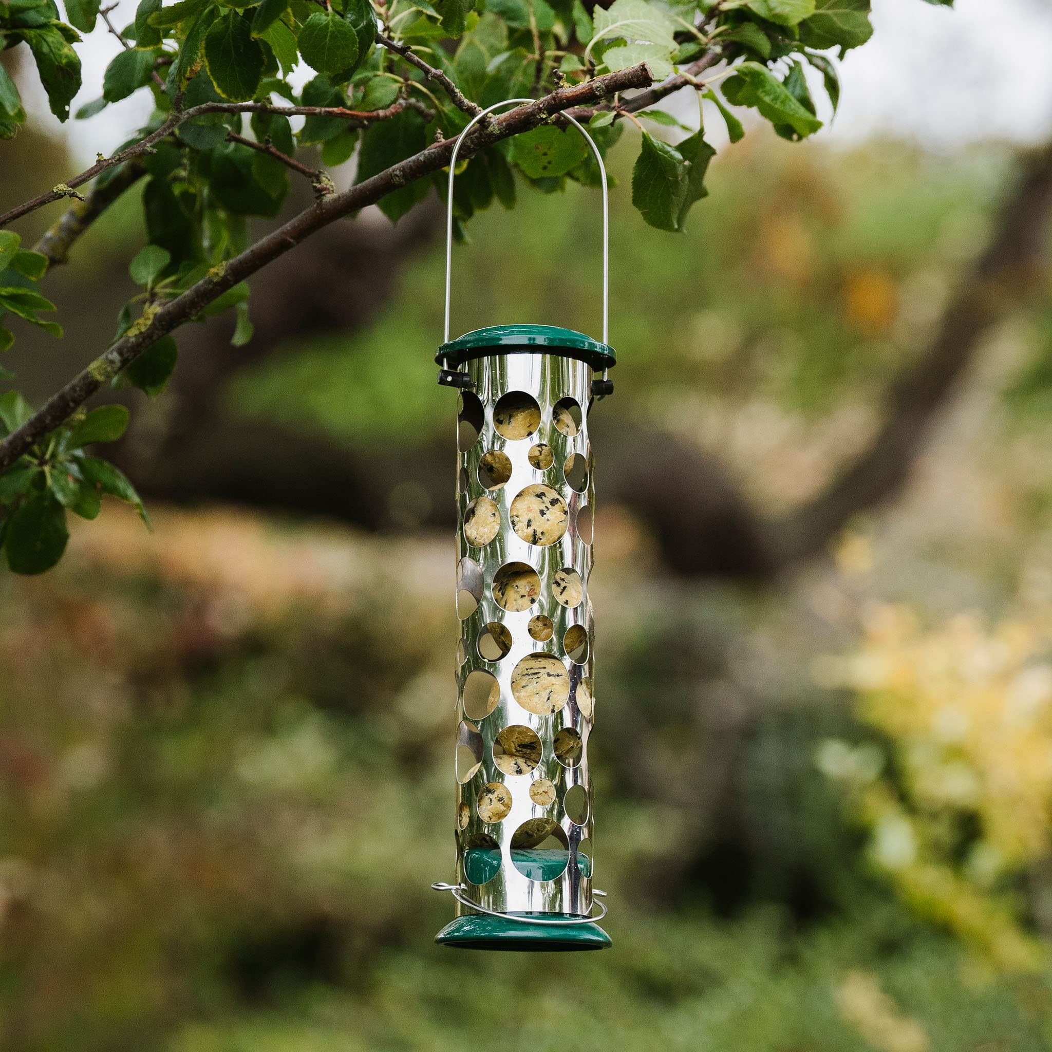 Peckish All Weather Metal Energy Suet Fat Ball Bird Feeder | Holds 4 Balls | Large 4