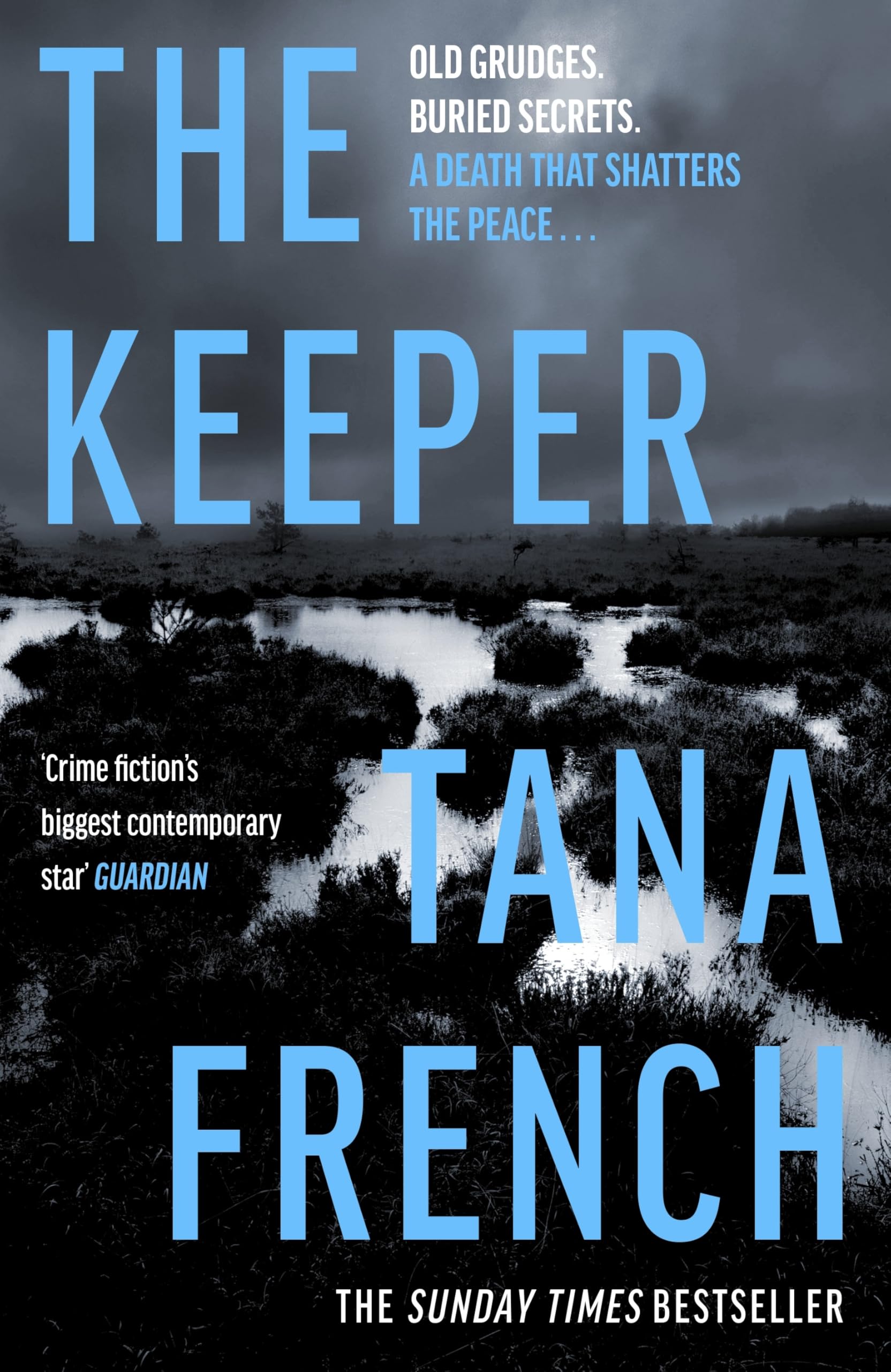 The Keeper by Tana French - New Mystery Novel