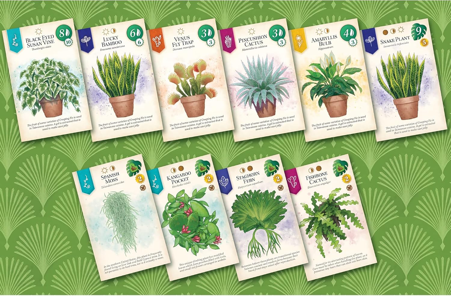 Alderac Entertainment Group Verdant Family Spatial Puzzle Game 3