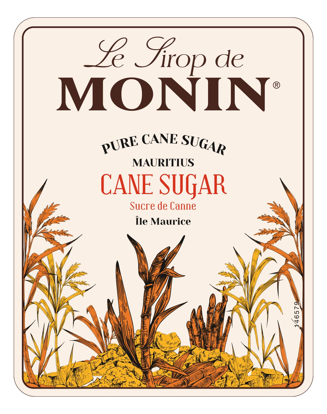 MONIN Pure Cane Sugar Syrup 700ml - Vegan, Allergen-Free Sweetener for Coffee, Cocktails & Beverages 9