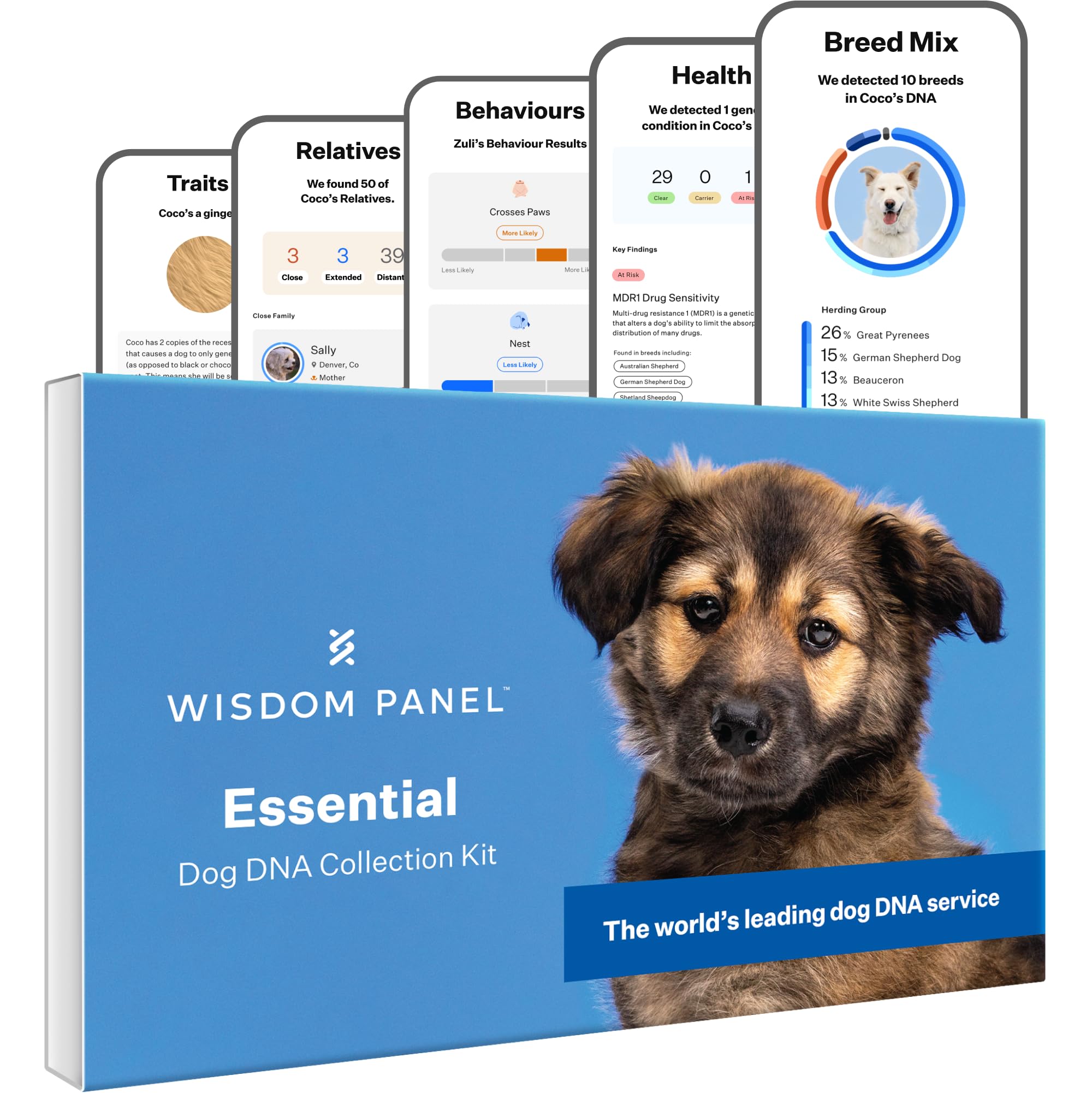Wisdom Panel Essential Dog DNA Test Kit for Breed ID, Health Screening & Traits | 365+ Breeds
