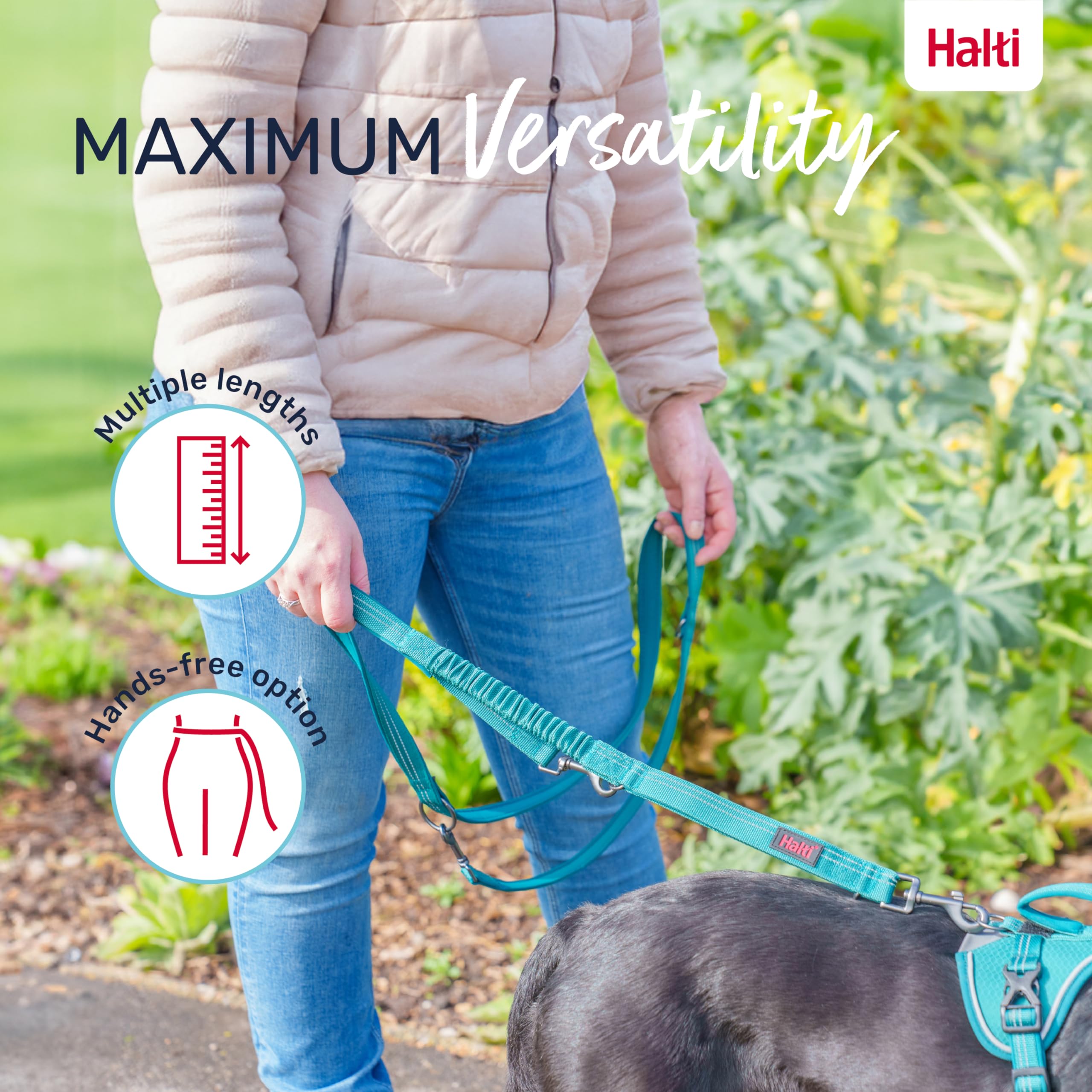 Halti Anatomy Multifunctional Dog Lead - Shock Absorbing Bungee | Teal, Size L (Up to 55kg) 5