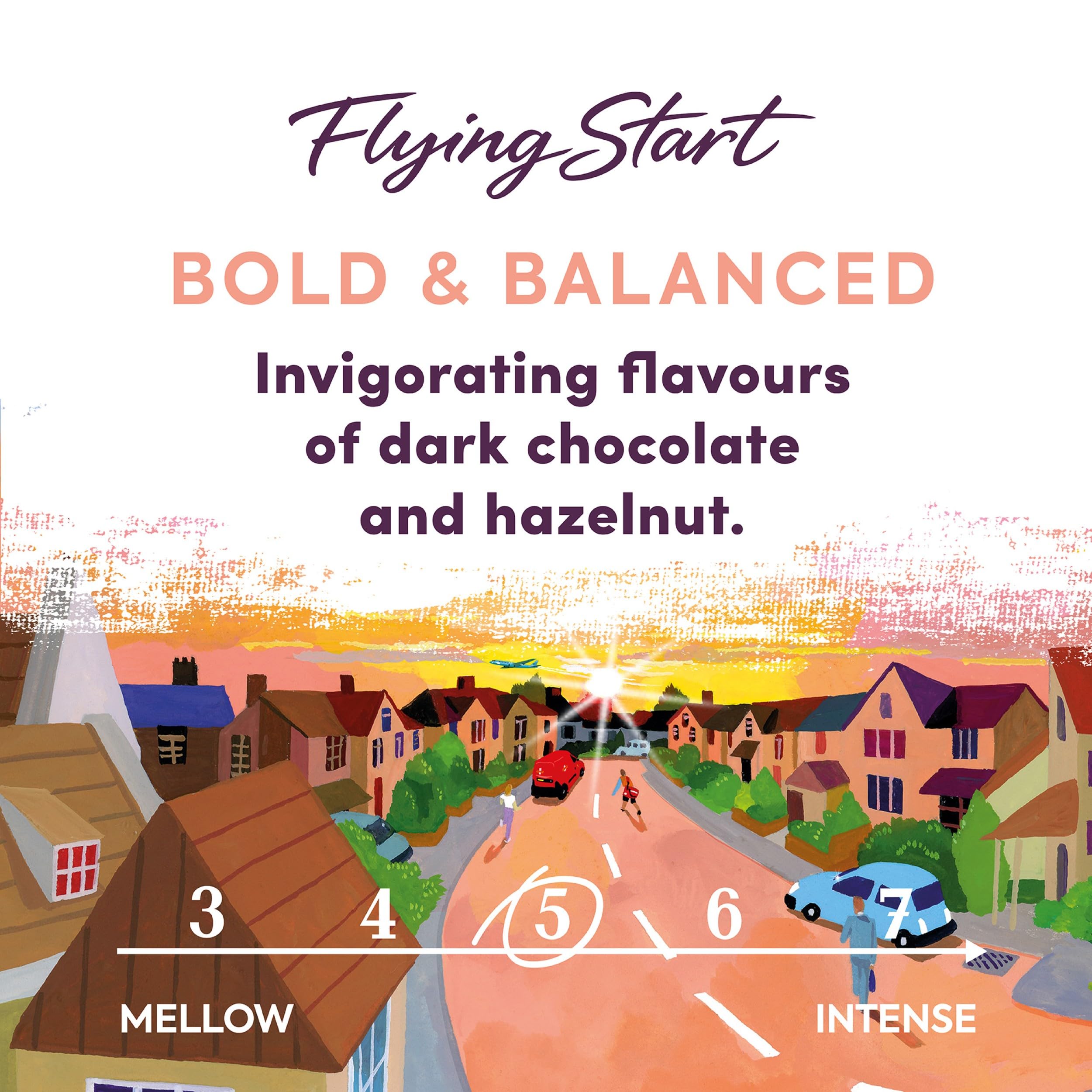 Taylors of Harrogate Flying Start Ground Coffee - Dark Roast, Hazelnut & Dark Chocolate Notes | 6 x 200g