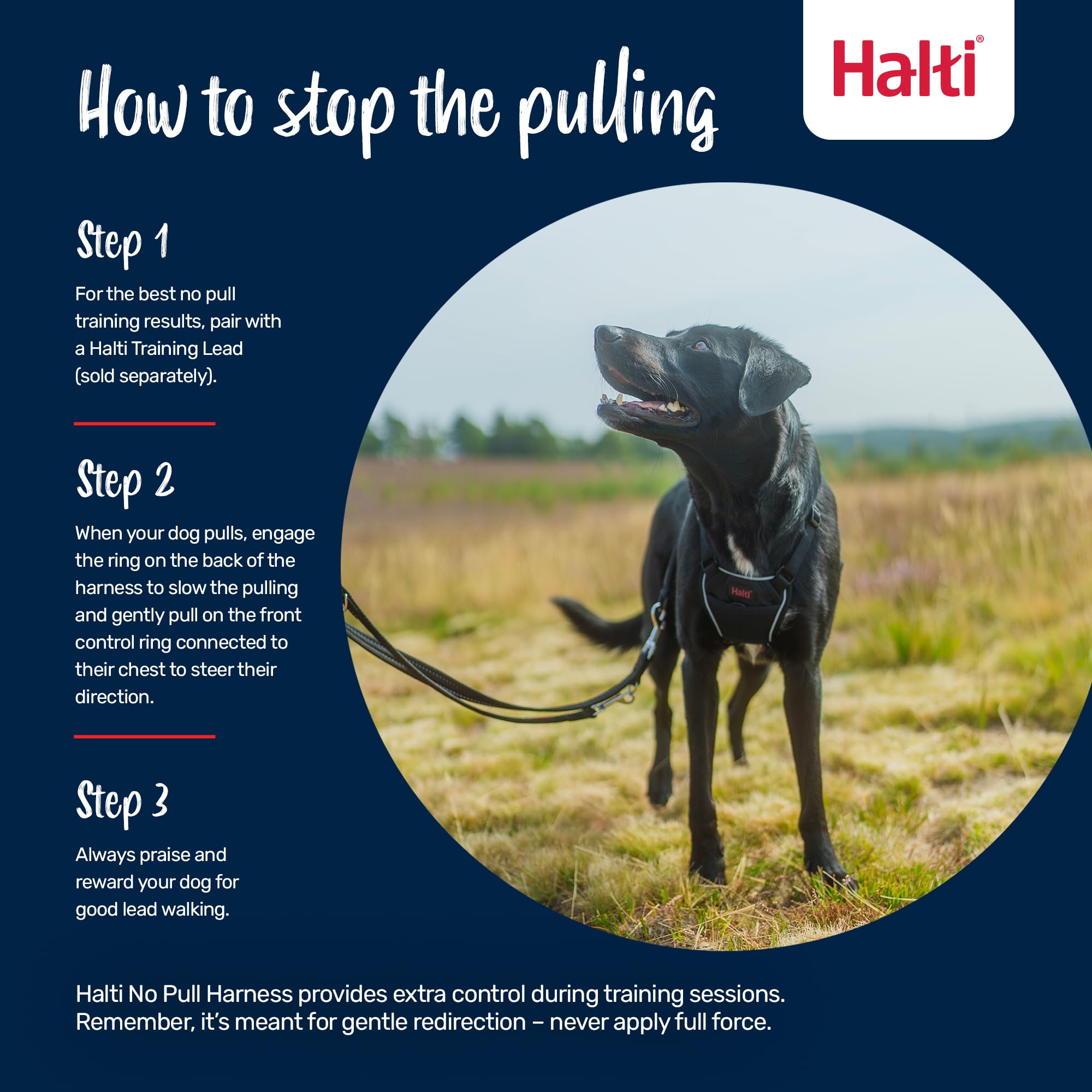 Halti No Pull Harness - Front Control Steering & Lifting Action | Size L | Forest Green 4