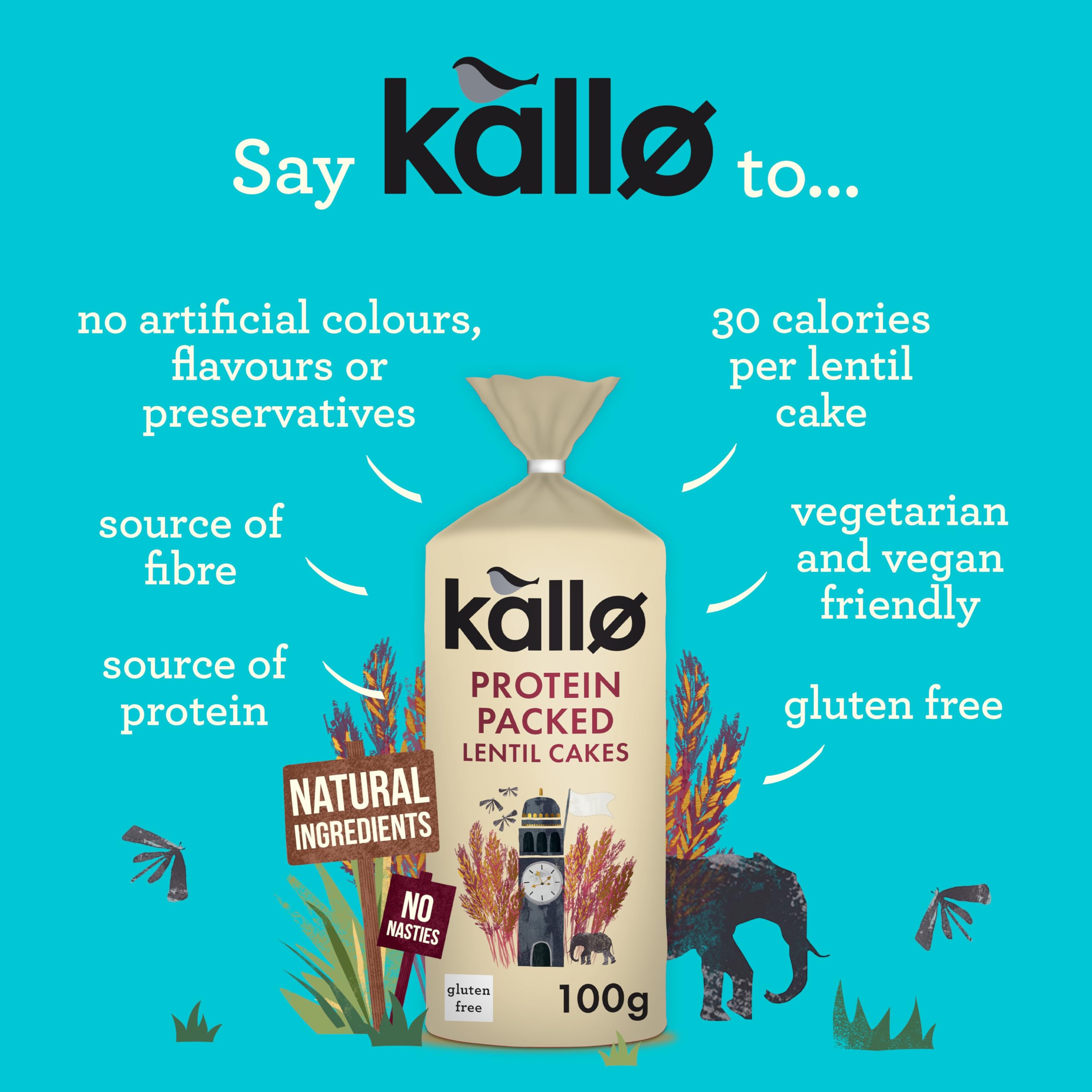 Kallo Protein Packed Lentil Cakes - High Protein, Gluten Free, Vegan Snack | 100g