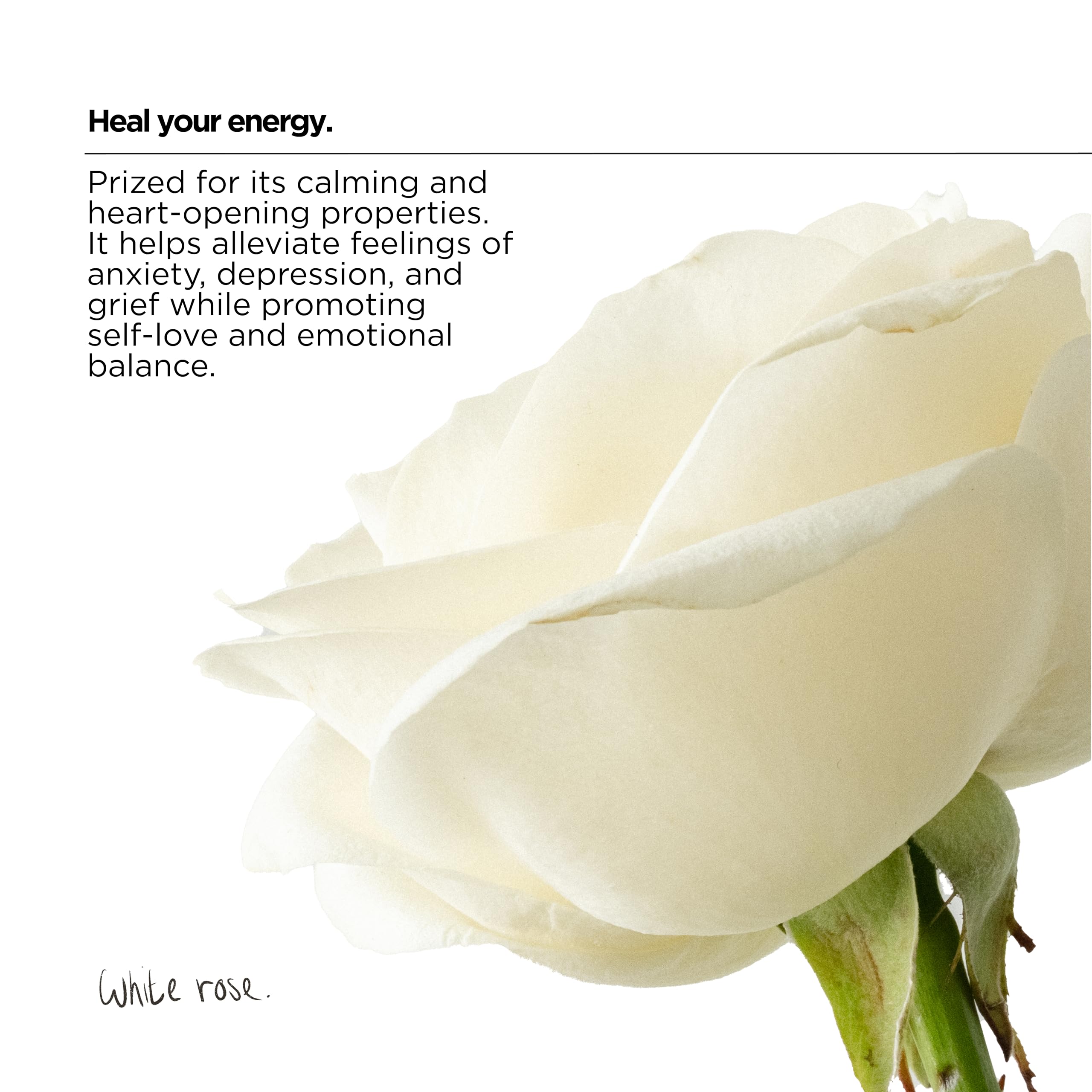 The Lab Co. Soothing Fabric Conditioner & Laundry Softener - Non-Bio, Ultra Concentrated, Plant & Mineral Based 7