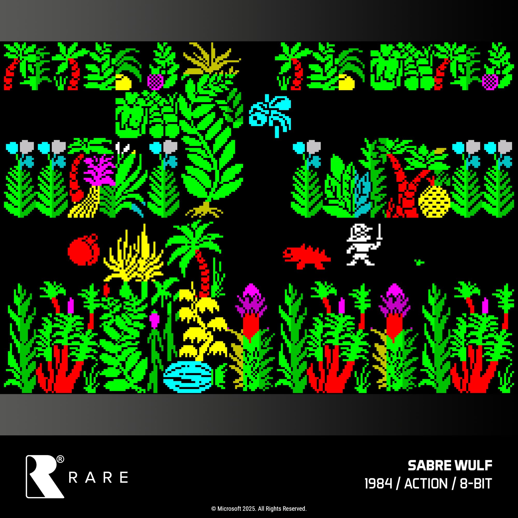 Blaze Evercade Rare Collection 1 - Evercade Cartridge Edition 17