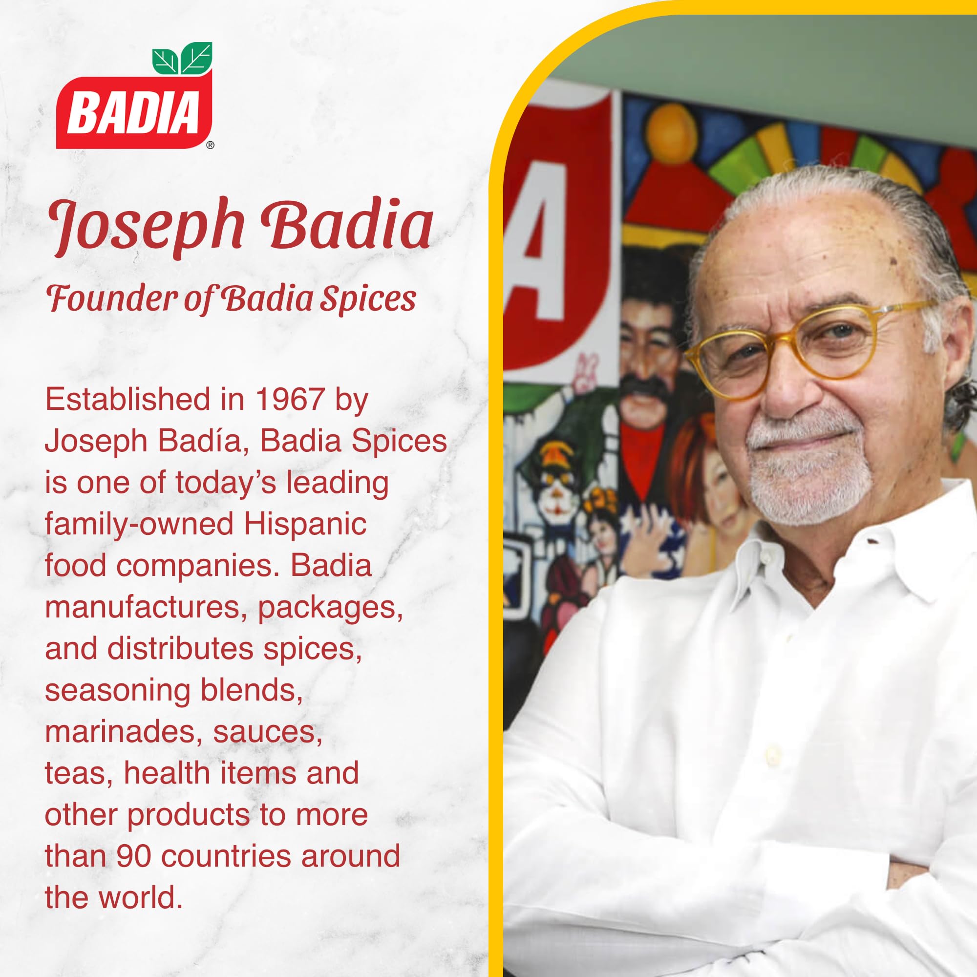 Badia The Original Complete Seasoning, 793,8 g Catering-Becher 7