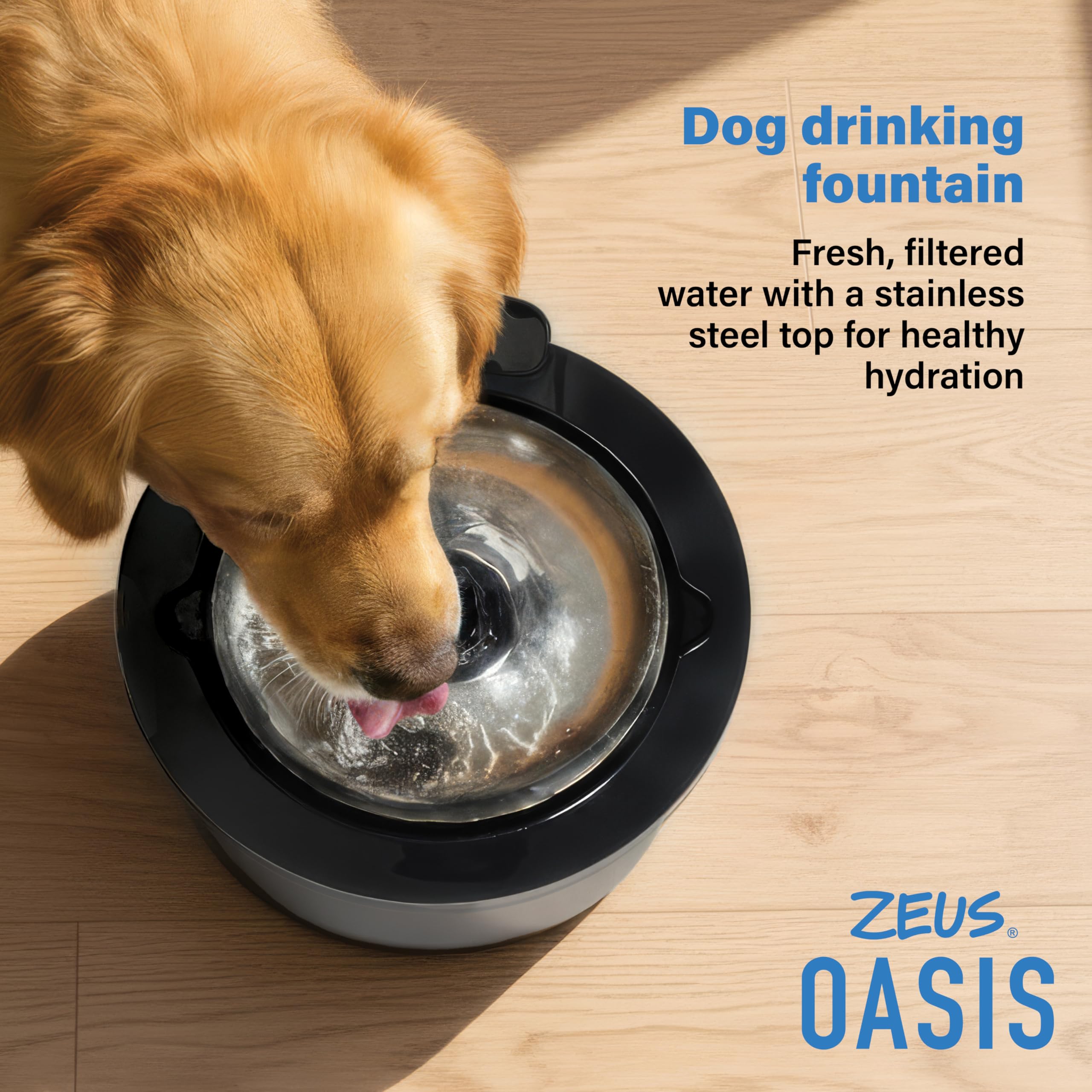 Zeus Oasis Dog Water Fountain - 6L Large Capacity | Stainless Steel Top | Triple Action Filter