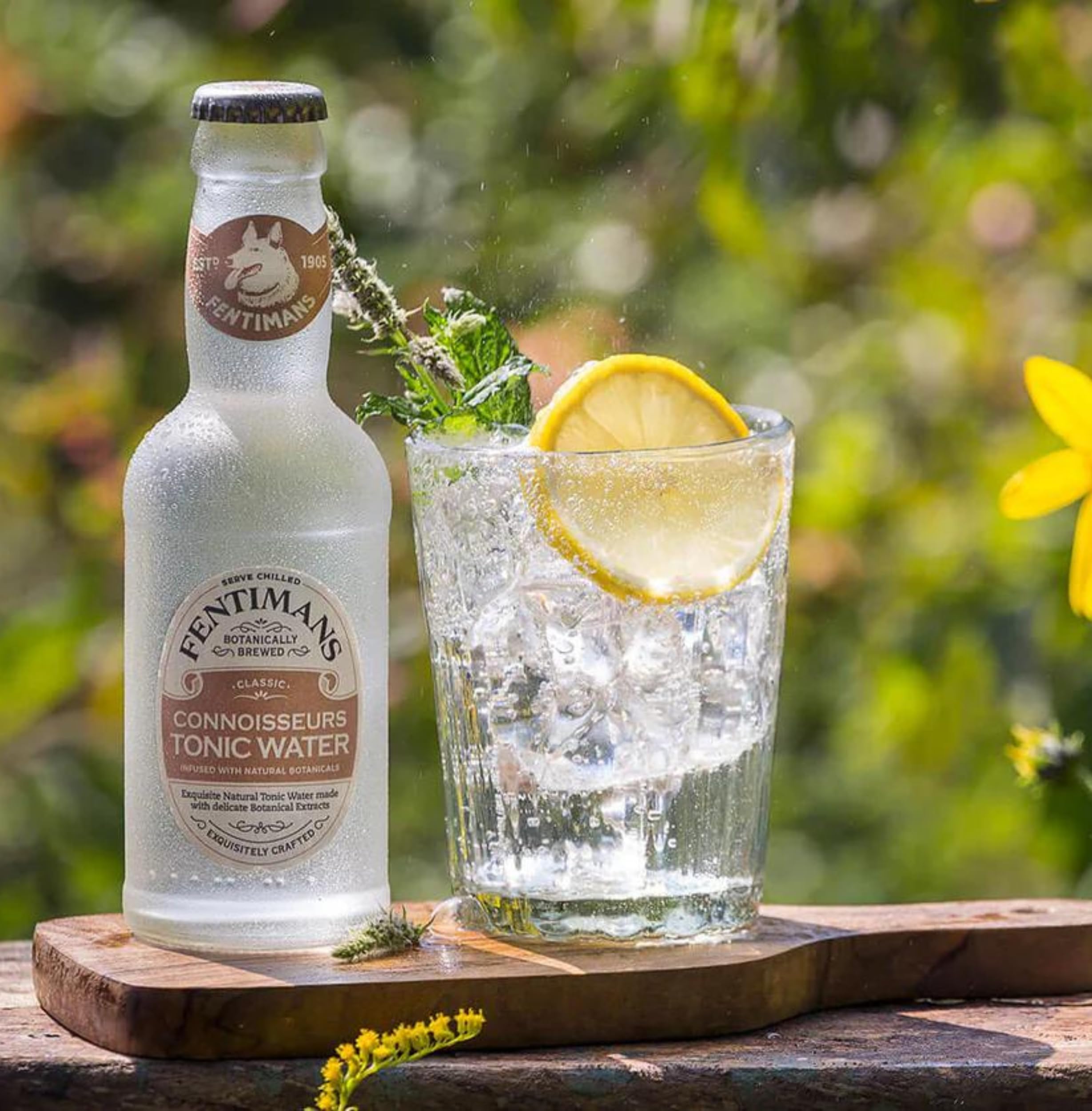Fentimans Connoisseurs Tonic Water – Botanisch gebraut mit natürlichen Pflanzenstoffen und Chinin 3