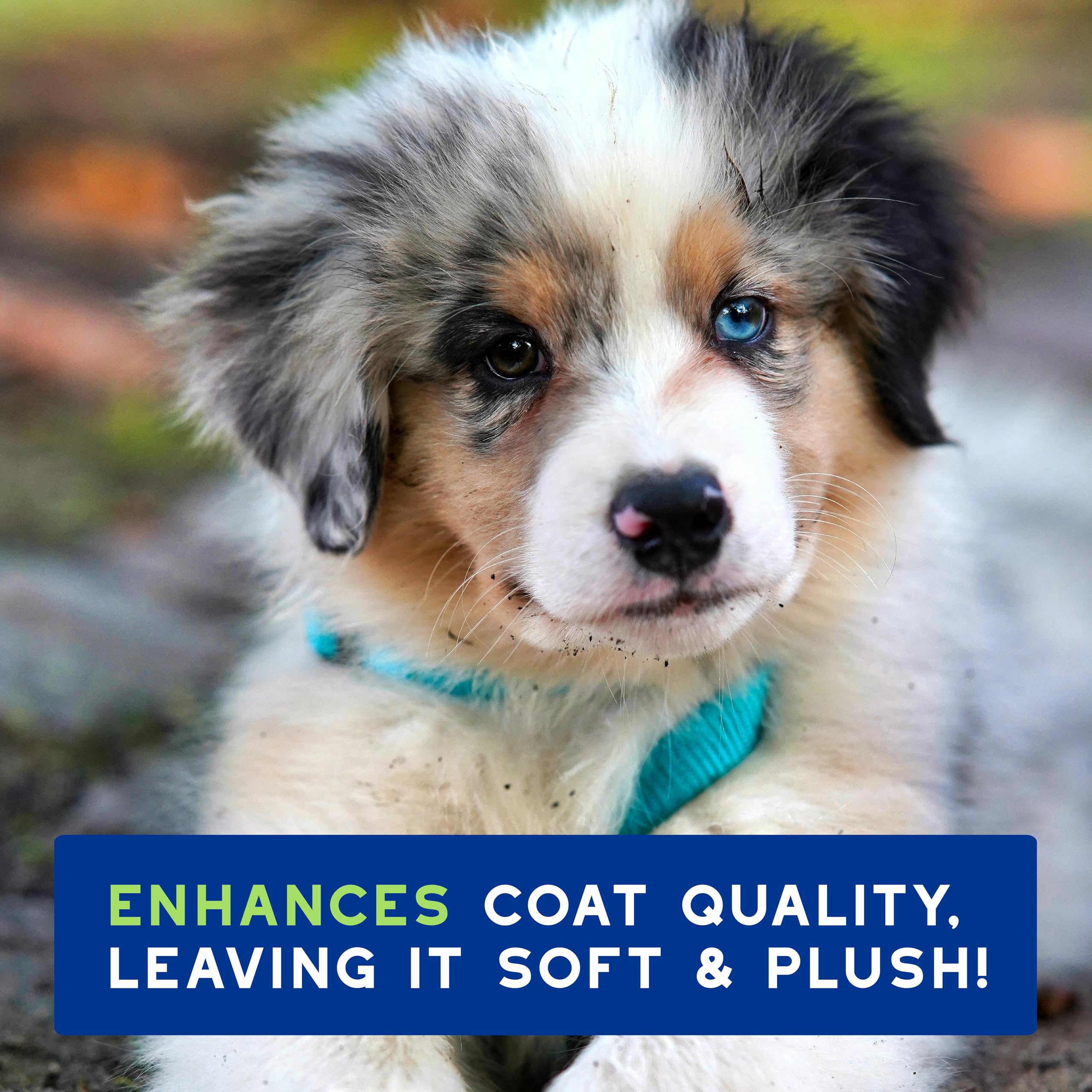 Douxo Skin & Coat SPA Ultra-Safe Puppy Shampoo - 250 ml | Hypoallergenic | Cleansing & Hydrating 7