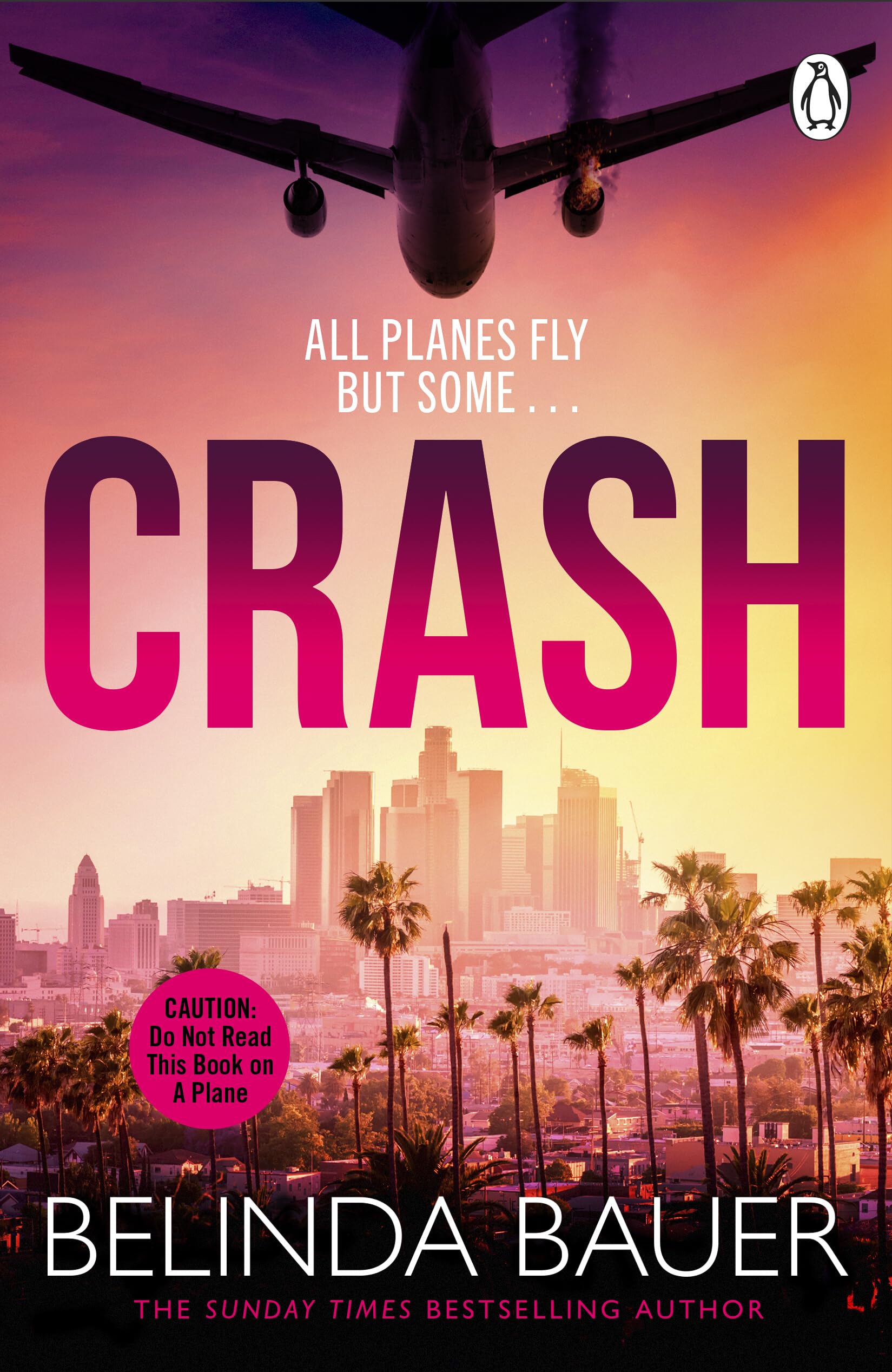 Crash: A Technothriller by Belinda Bauer (Paperback)