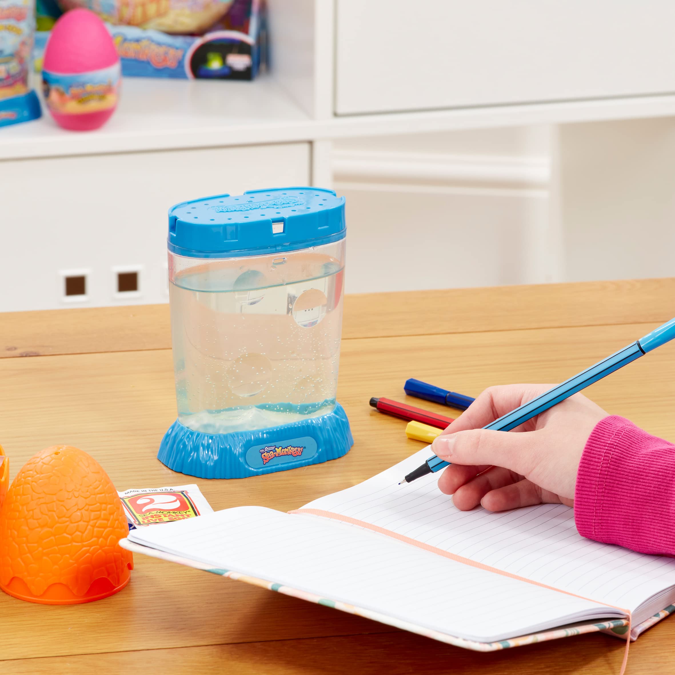 Sea Monkeys Ocean Zoo – Pädagogisches Wissenschaftsset für Kinder von 5 bis 10 Jahren 18