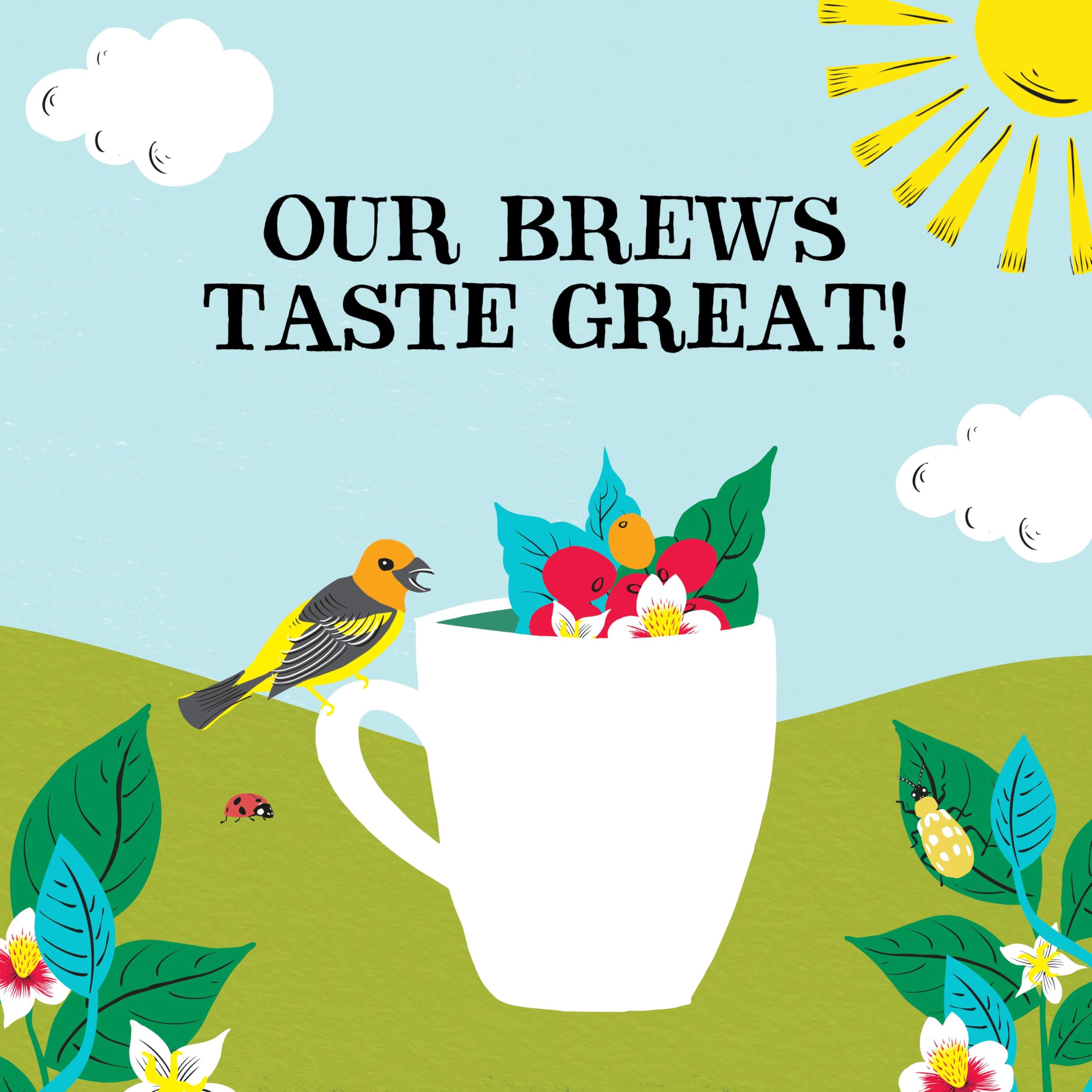 Clipper Organic Latin American Instant Decaf Coffee | 6 x 100g Jars | Fairtrade & Non-GM 5