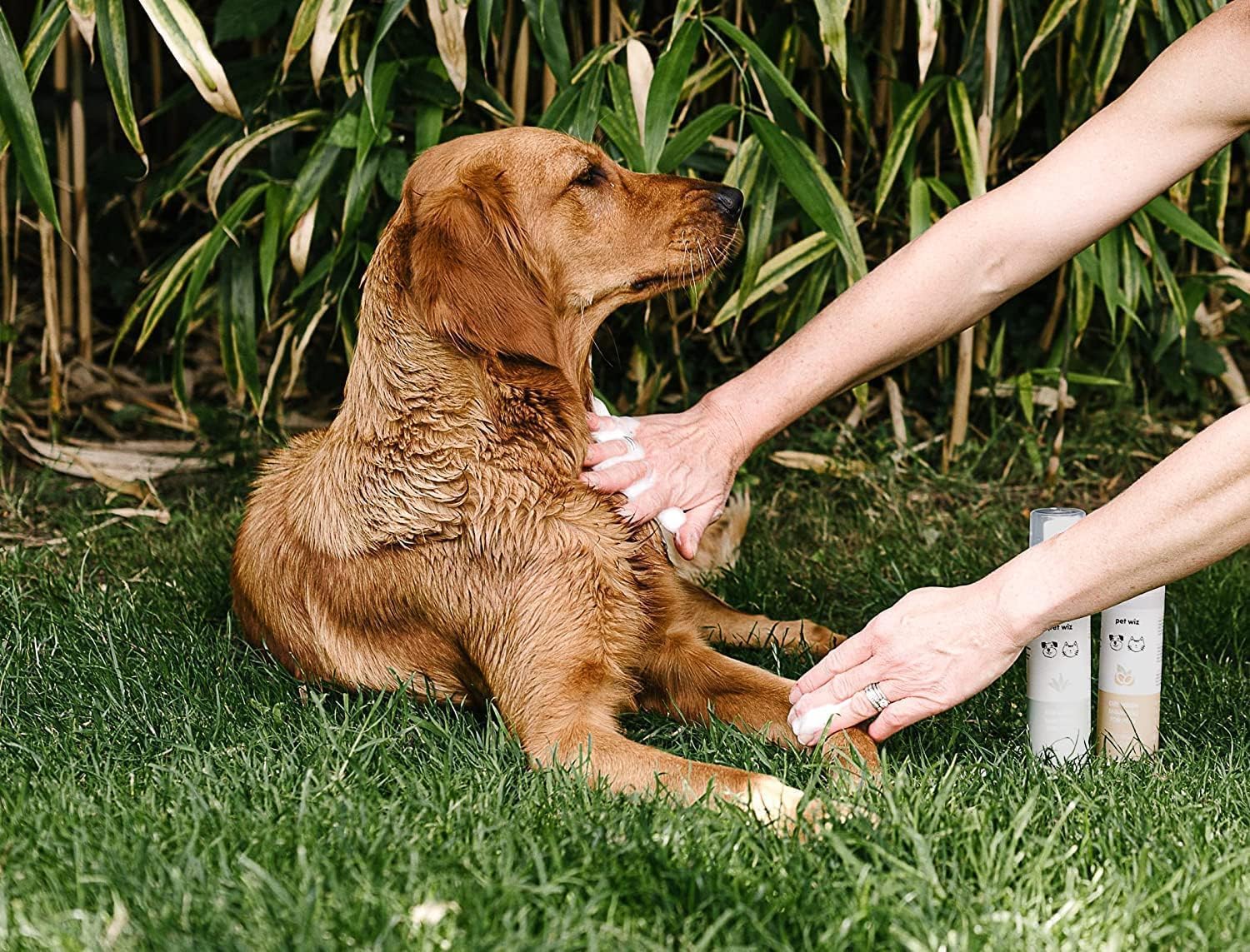 pet wiz Waterless Mousse Shampoo for Dogs - Coconut & Oat Scent | Nourishing & Deodorising | 200ml 4