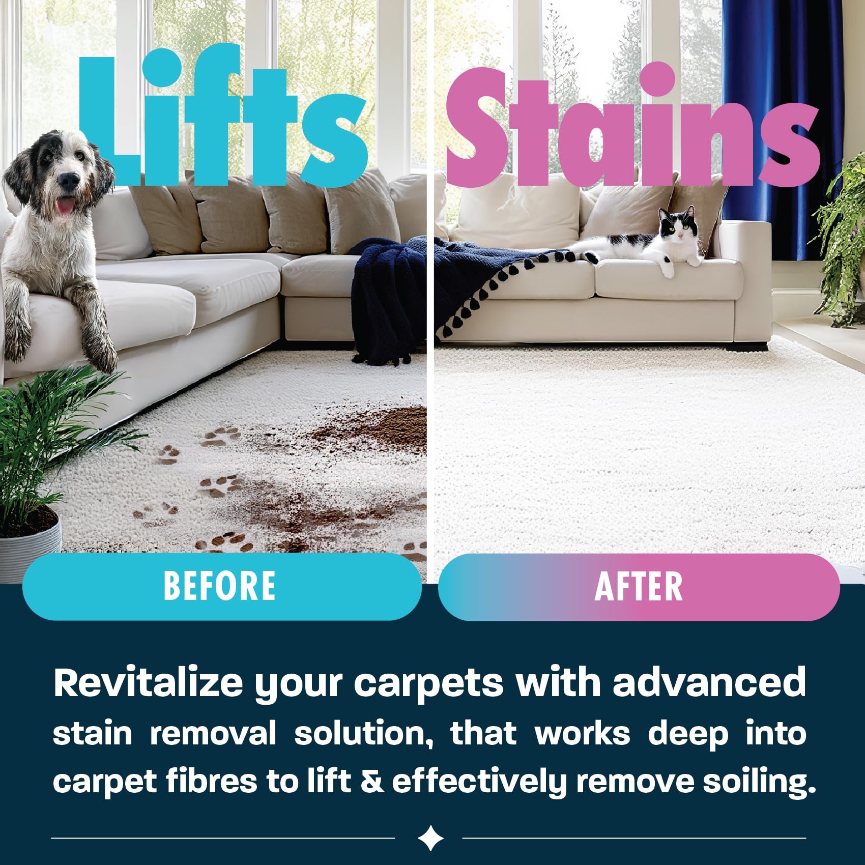 Dirtbusters Anti-Bac Spot Cleaning Solution (1L) 4