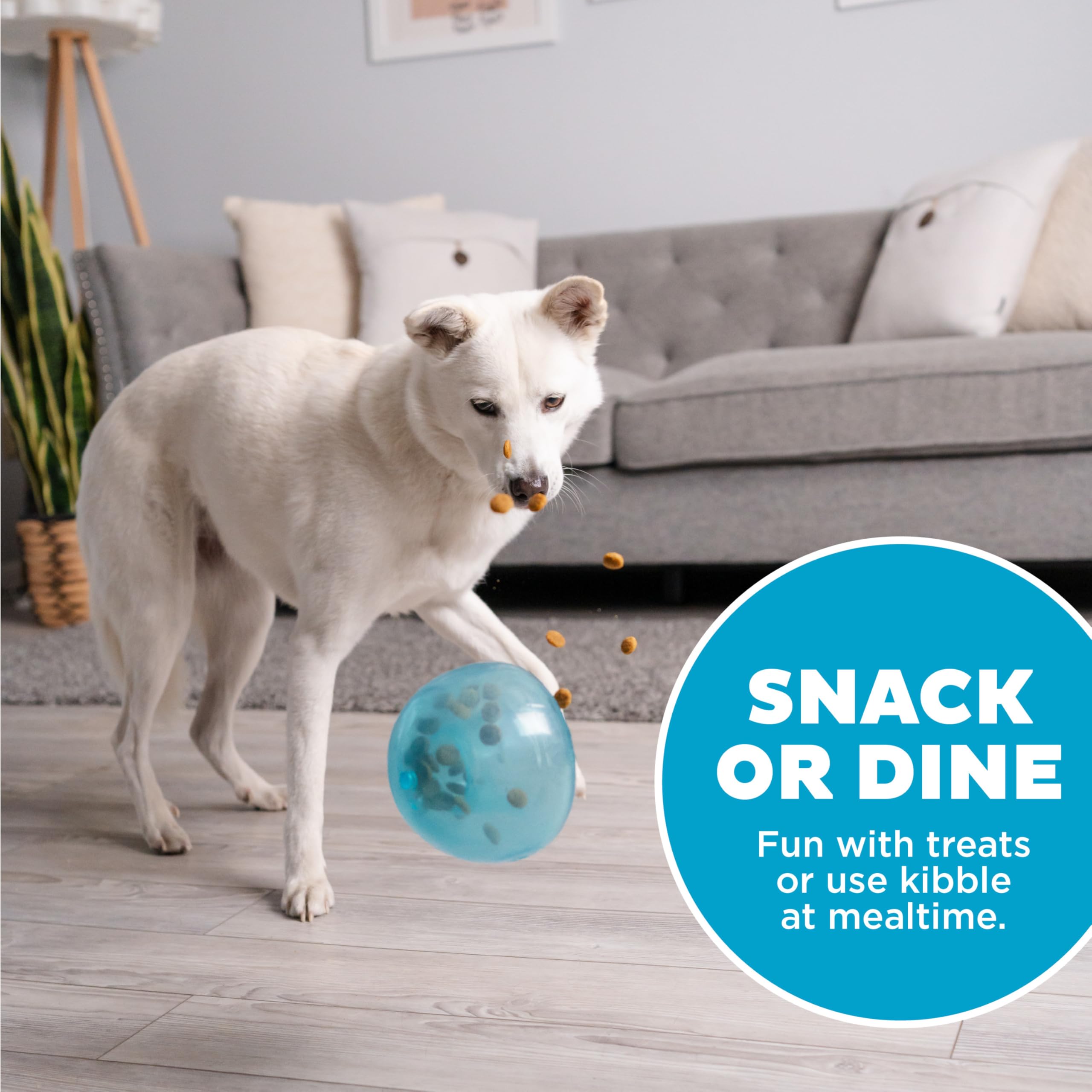 Outward Hound Orbee-Tuff Snoop Interactive Treat Dispensing Dog Toy - Large, Blue, Mint Scented 6
