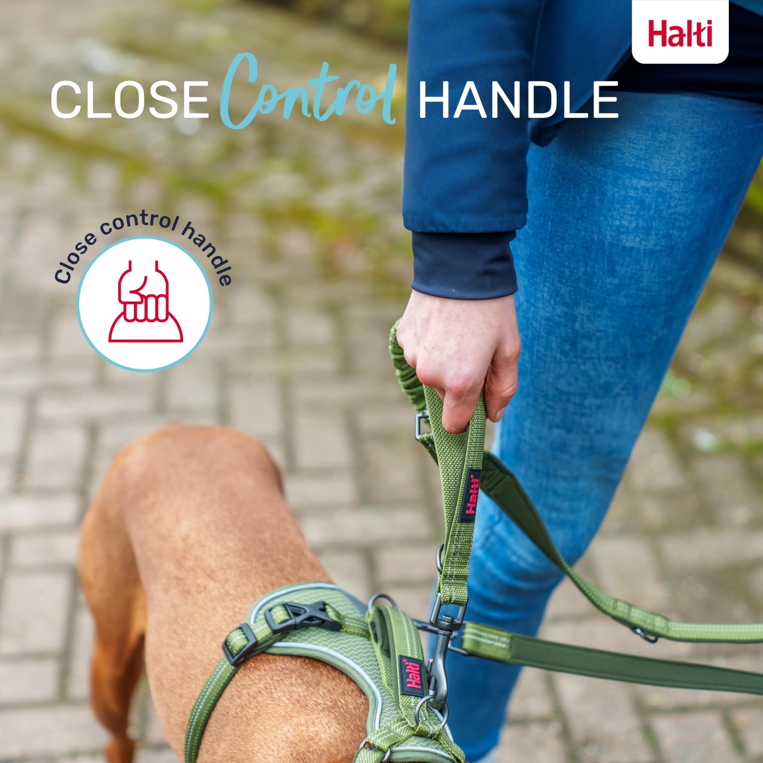 Halti Anatomy Multifunctional Dog Lead - Shock Absorbing Bungee | Teal, Size L (Up to 55kg) 6