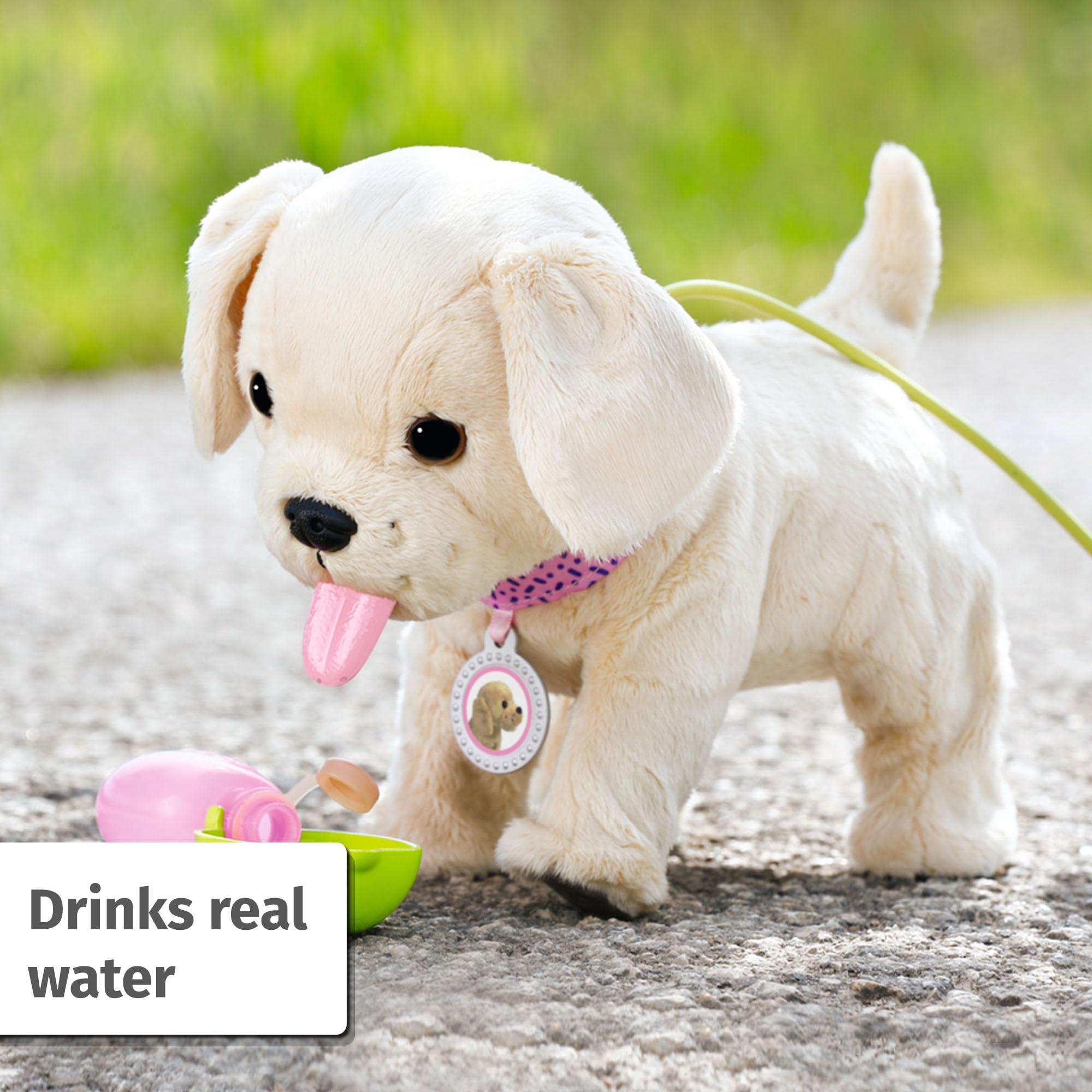 BABY born My Dog Lucky with Carry Box - 5 Realistic Functions, Interactive Playset for Ages 3+ 7