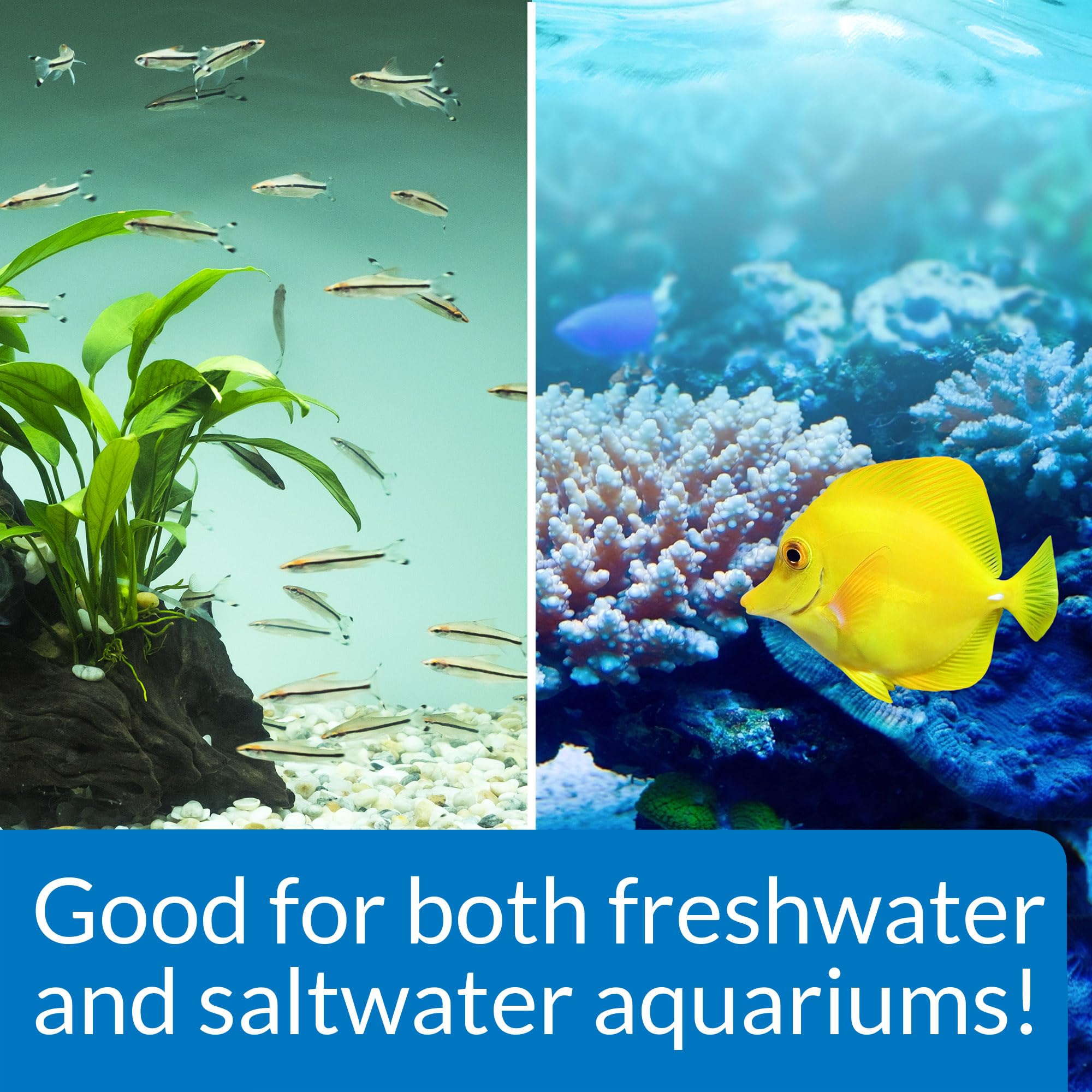 API STRESS ZYME Aquarium Cleaning Solution - Consumes Sludge | 473 ml Liquid 2