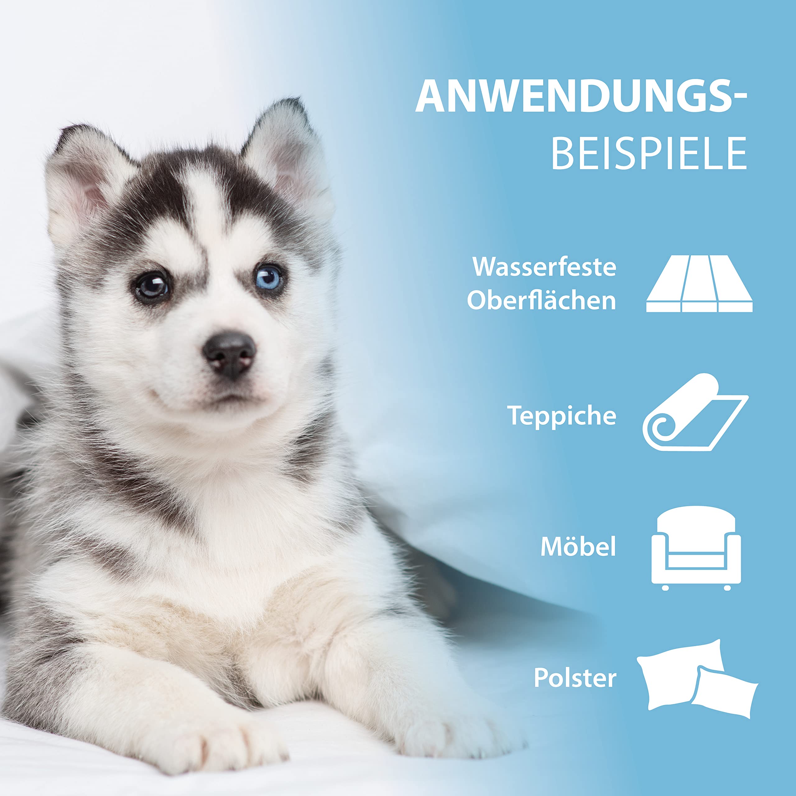 ARKA PIPI-Weg Spray - Enzymatic Dog Urine Odour Remover | 100 ml | Bio-Based 6