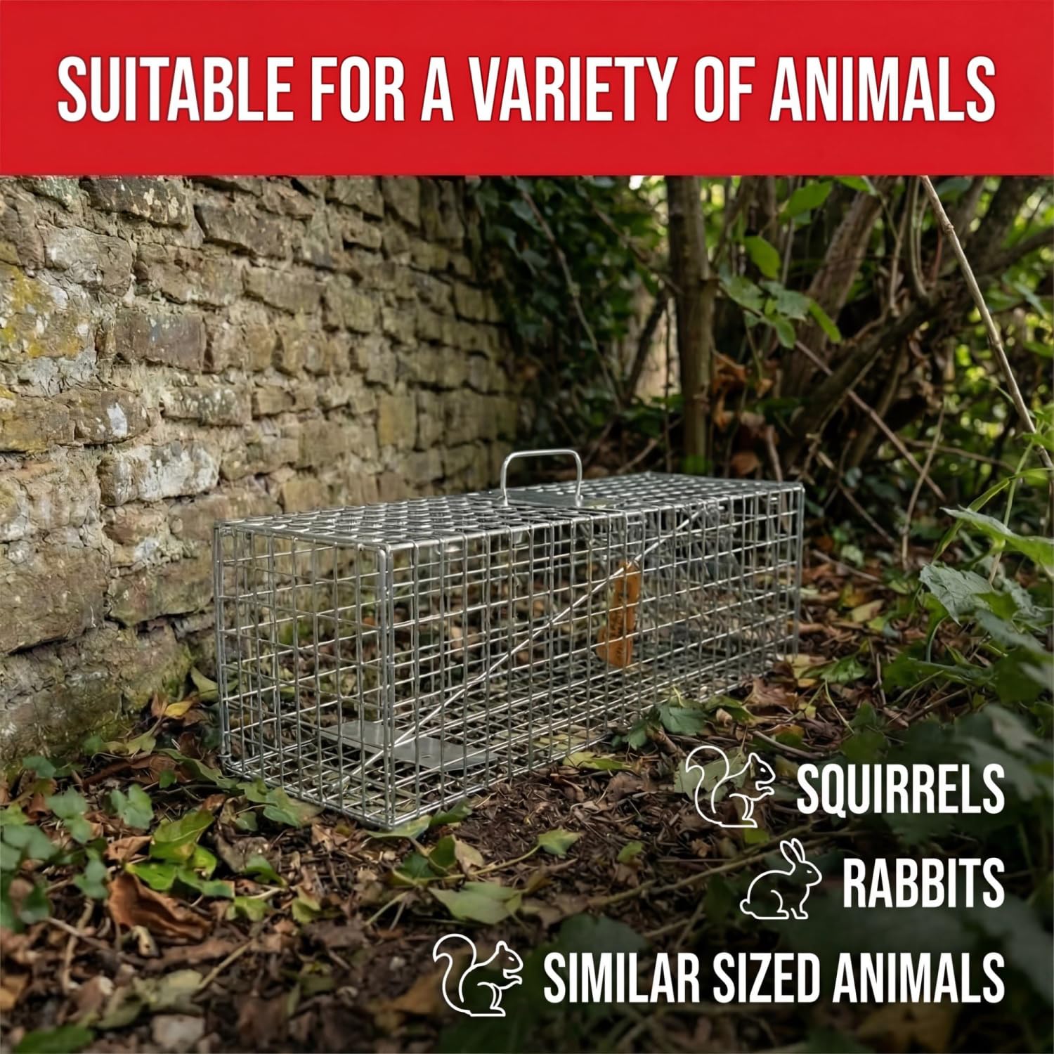 The Big Cheese® Live Animal Trap – Small Cage | Ready-Assembled Humane Catc 6