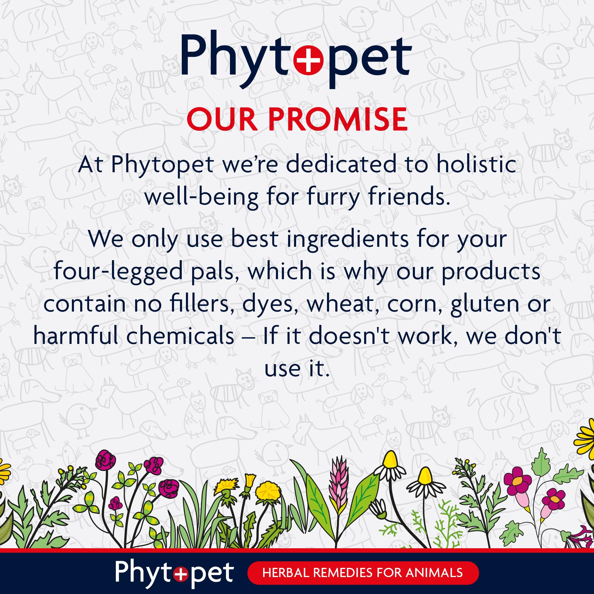 Phytopet Probiotic Concentrate - All Natural Gut Health Powder for Dogs & Cats | 100g 7