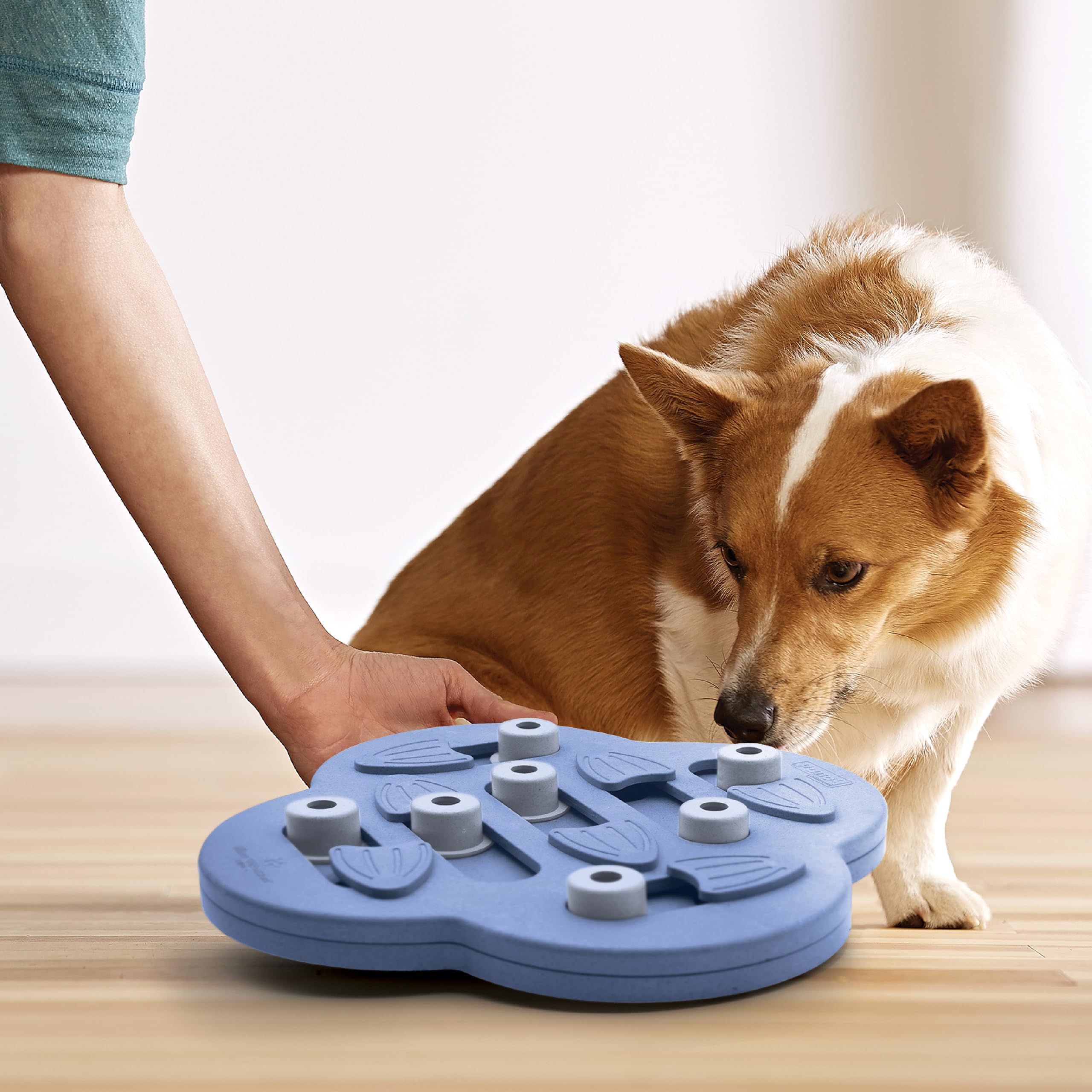 Outward Hound Nina Ottosson Dog Hide N' Slide Purple Interactive Treat Puzzle - Level 2 Intermediate 5