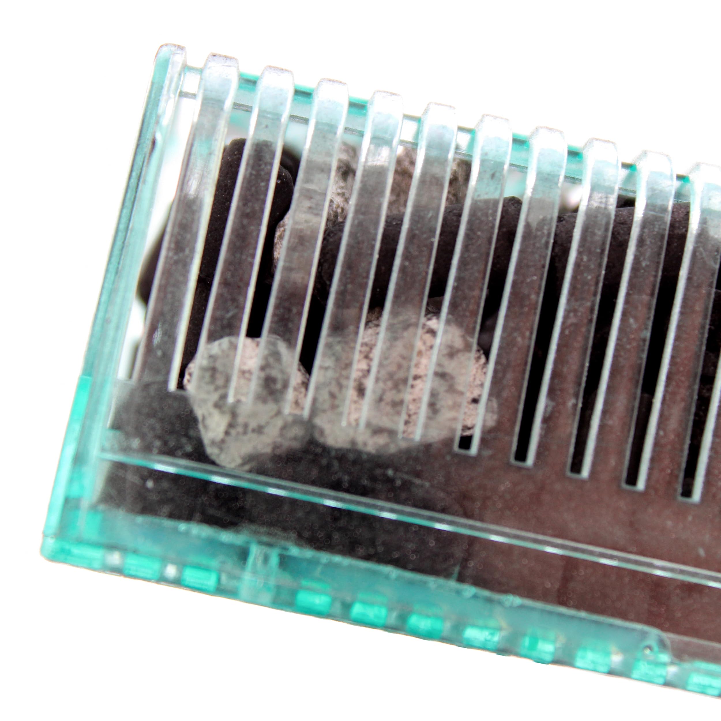 Penn-Plax Small World Aquarium Filter for Tanks up to 5 Gallons | Includes Disposable Media Cartridge 5