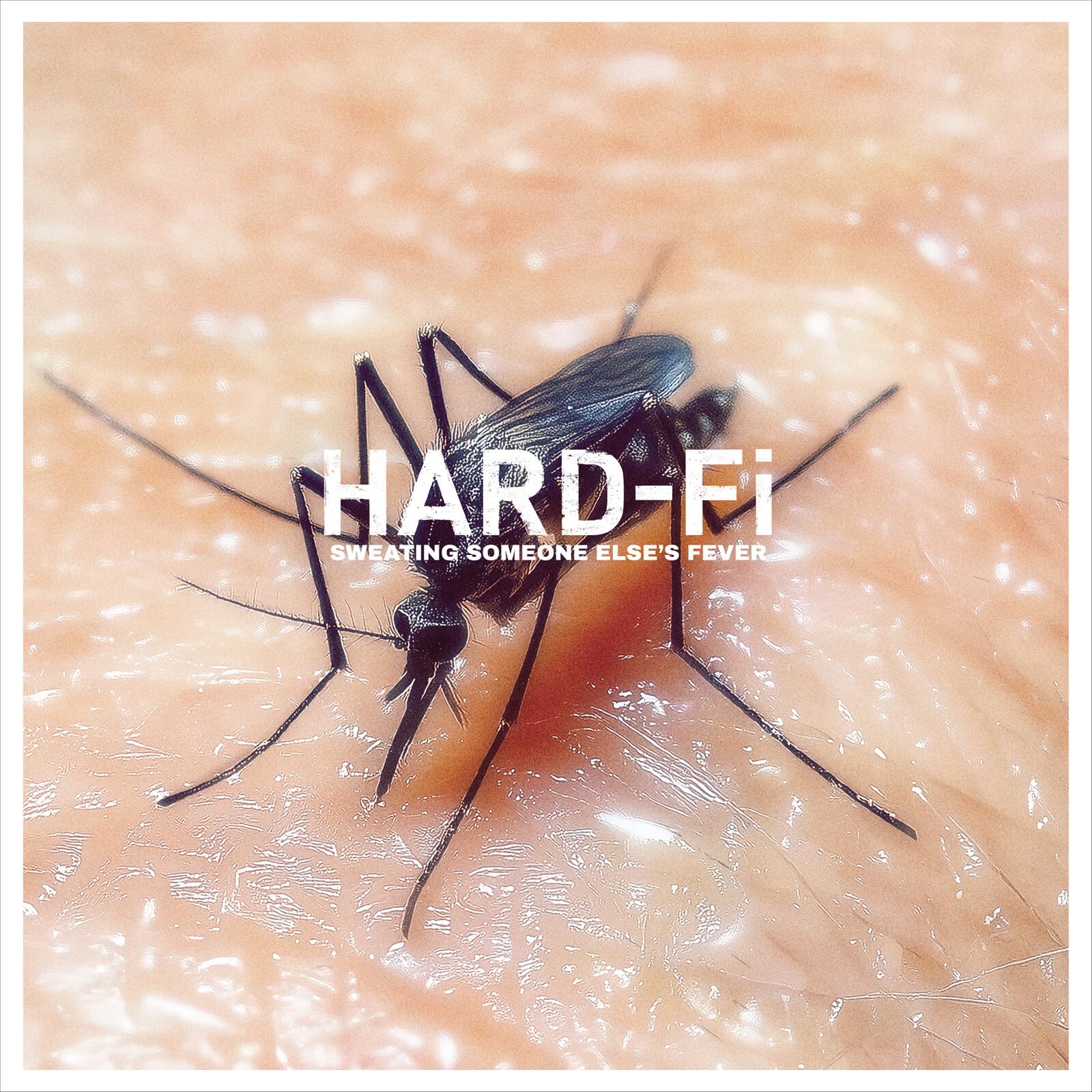 Hard-Fi - Sweating Someone Else's Fever [Audio CD]