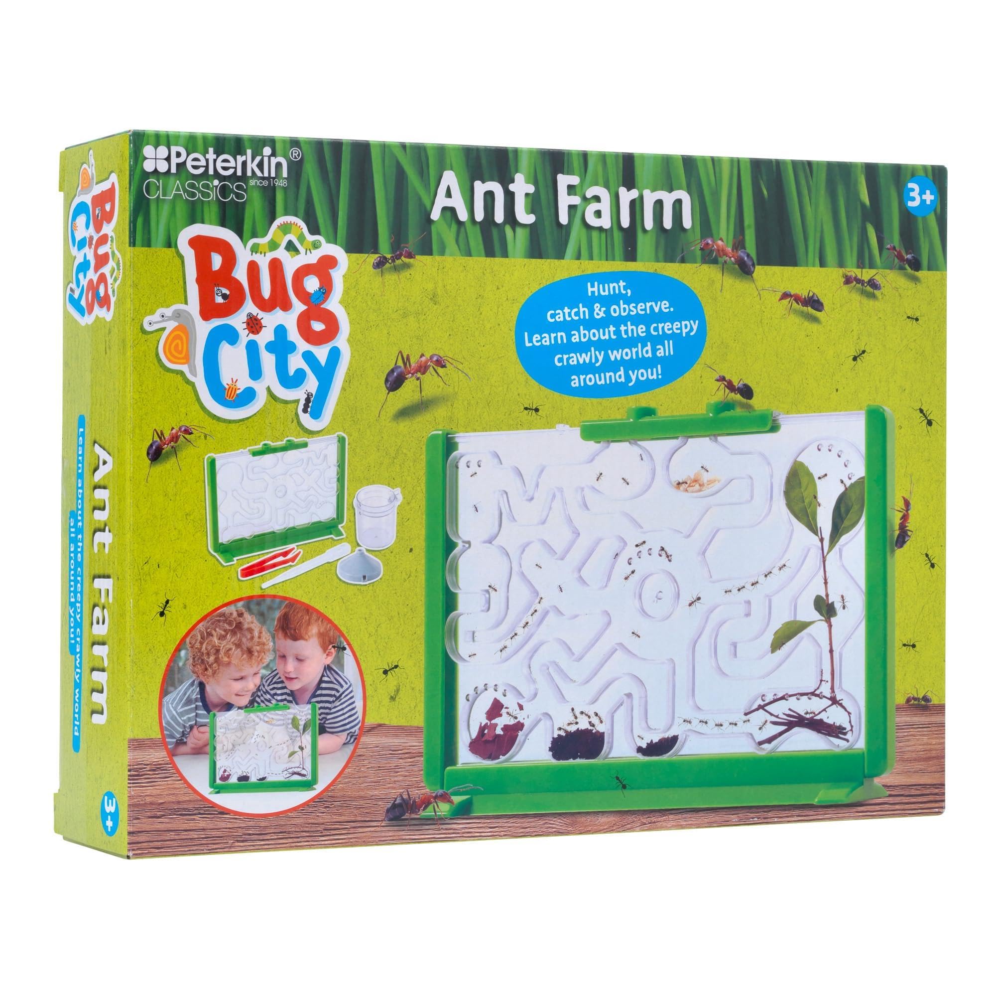 Peterkin Classics Bug City Ant Farm | Educational Science Kit | Unisex Children 1