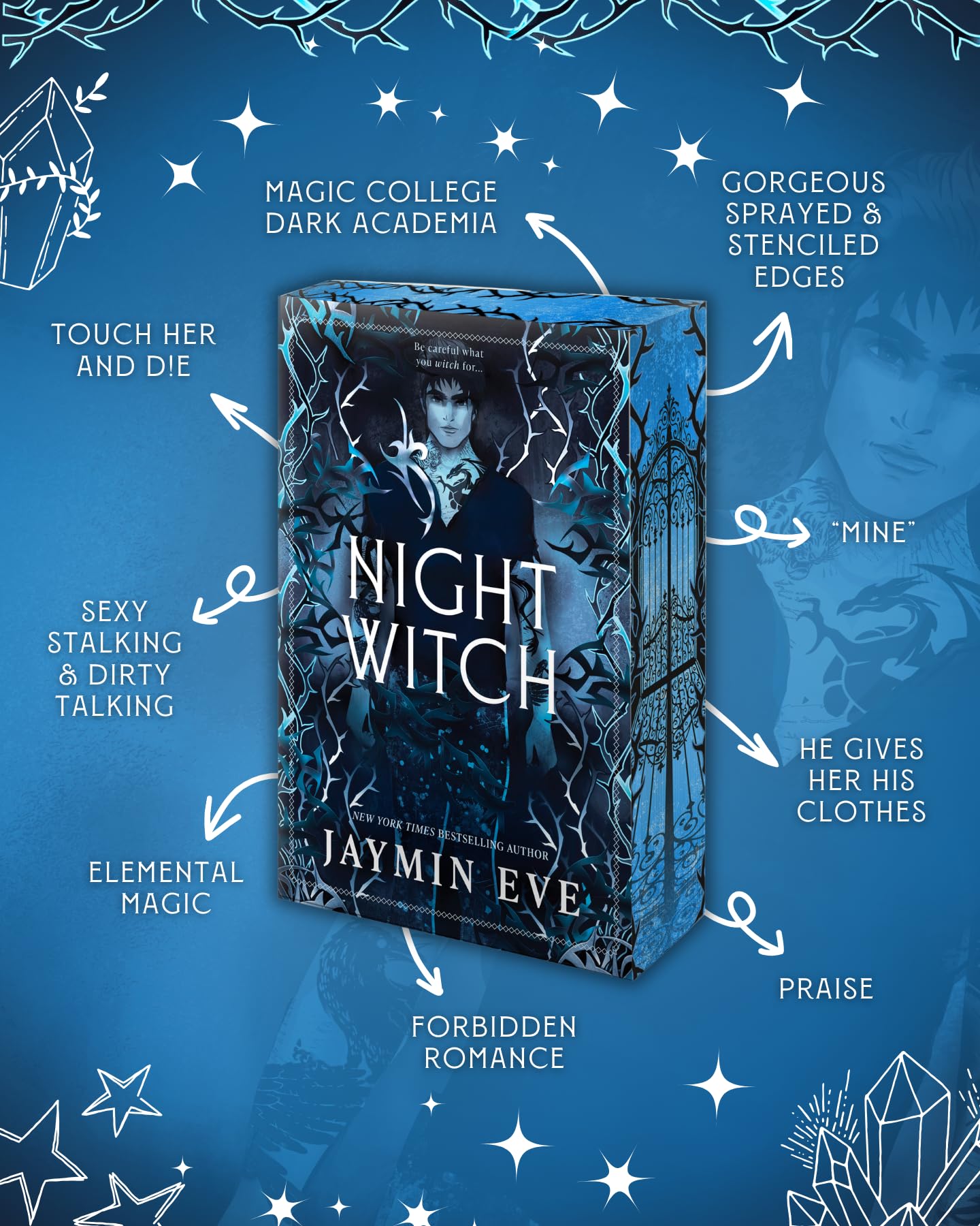 Mira Books Night Witch - Book 2 of Weatherstone College | Forbidden Romantasy Paperback 2